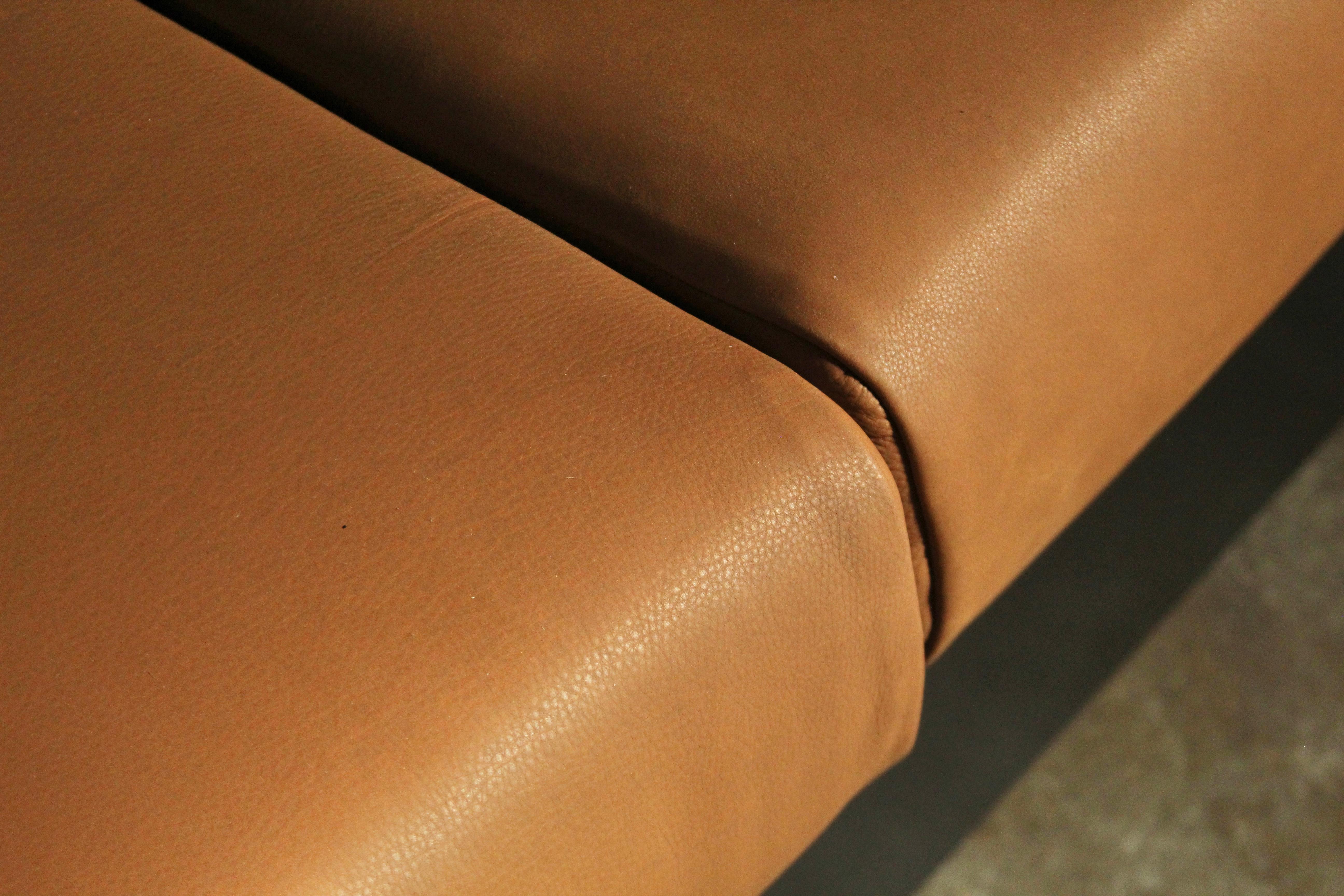 Mid-20th Century 4-Seat 'Saratoga' Sofa by Massimo & Lella Vignelli for Poltronova, 1960s