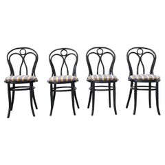 4 Original Thonet chairs from the 1950s