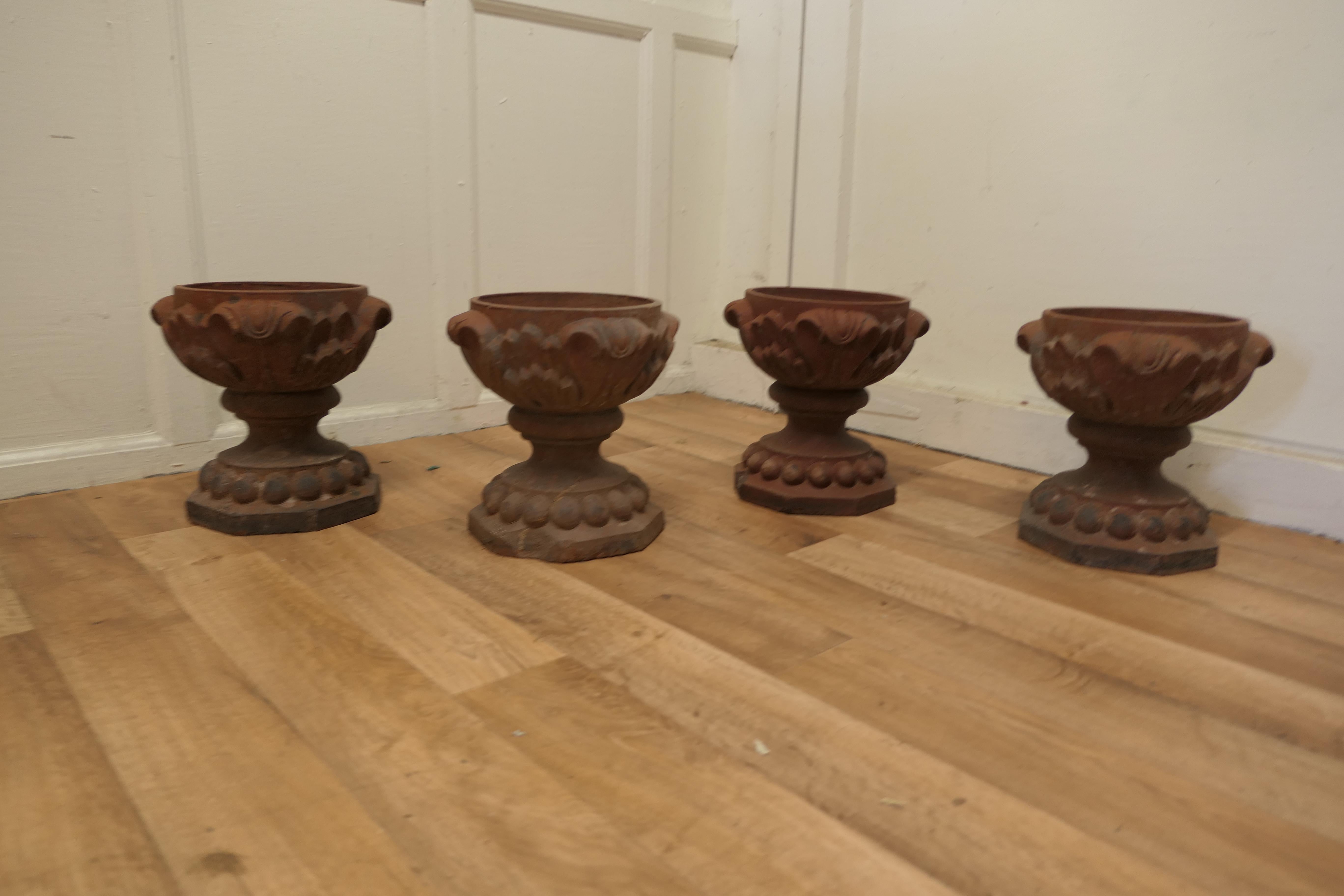 4 Terracotta Garden Urns 

These are a attractive weathered pots, they are made in terracotta and are in well weathered condition with some minor chipping due to their age

Each Urn is 11” high, and 11” in diameter
TCC50
