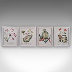4 Vintage Botanical Pictures, Framed Print, Plant Illustrations, Natural Art
