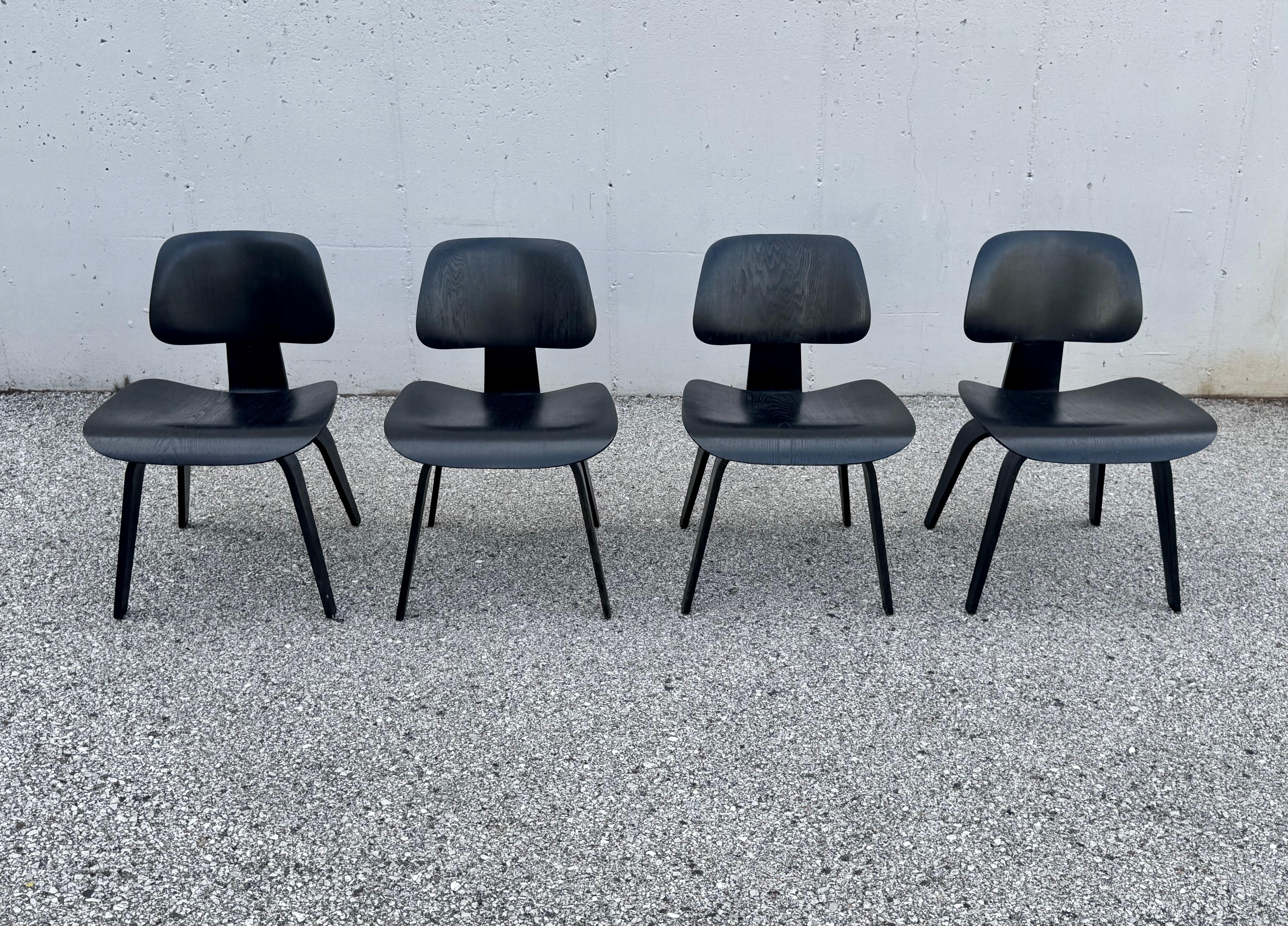 Set of four 1950s Charles & Ray Eames plywood DCW dining chairs in ash with ebony finish for Herman Miller. The set is a marriage of two sets, determined by the back seat shock mounts, 2 have round mounts, 2 have oval mounts. Previous owner