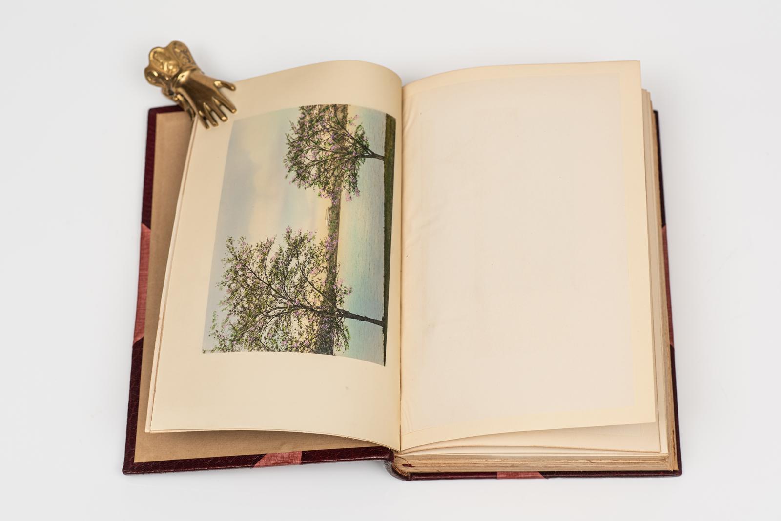 4 Volumes. Albert Beveridge, Abraham Lincoln (1809 - 1858) In Good Condition In New York, NY