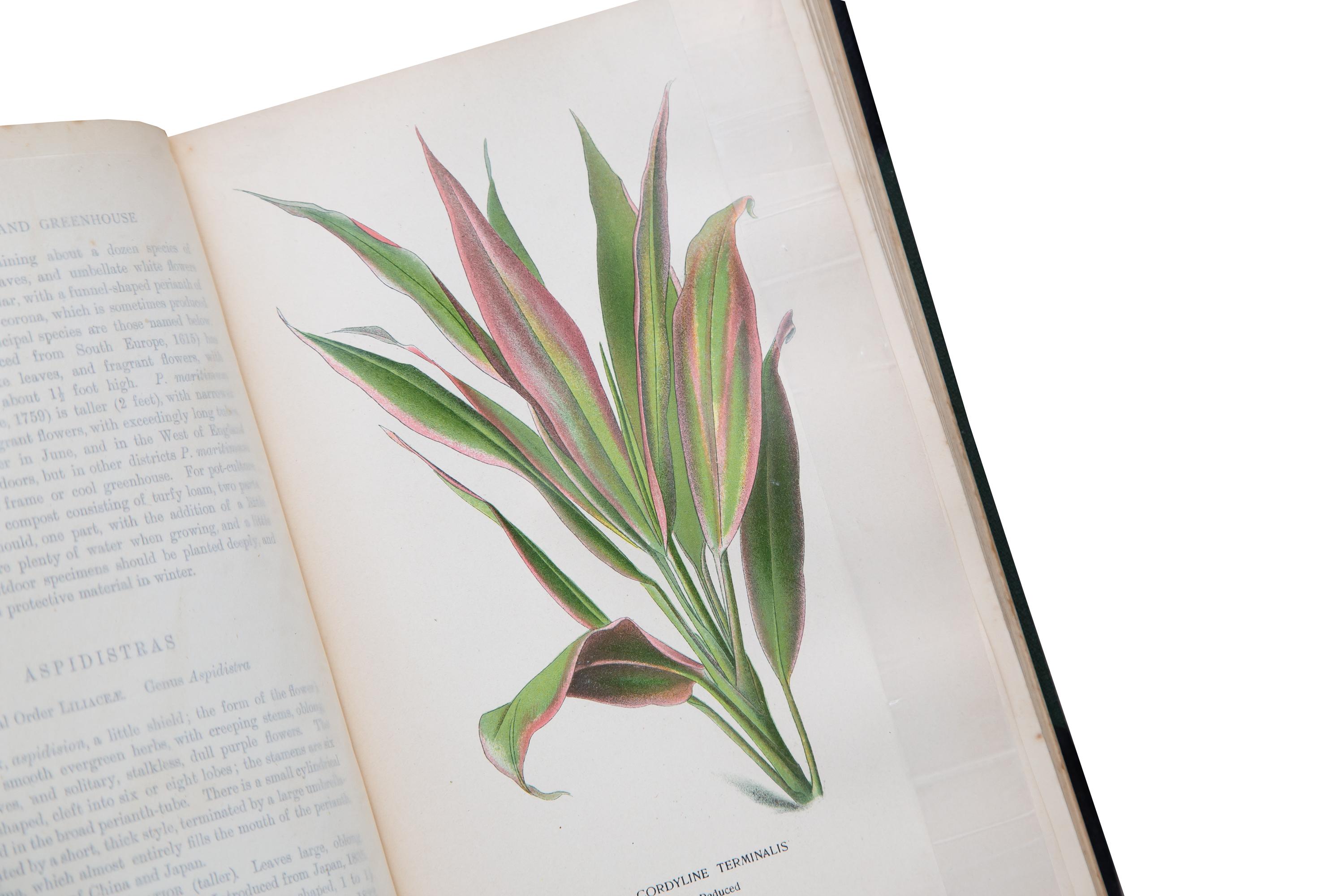 English 4 Volumes, Edward Step and William Watson, Favorite Flowers of Garden and GH