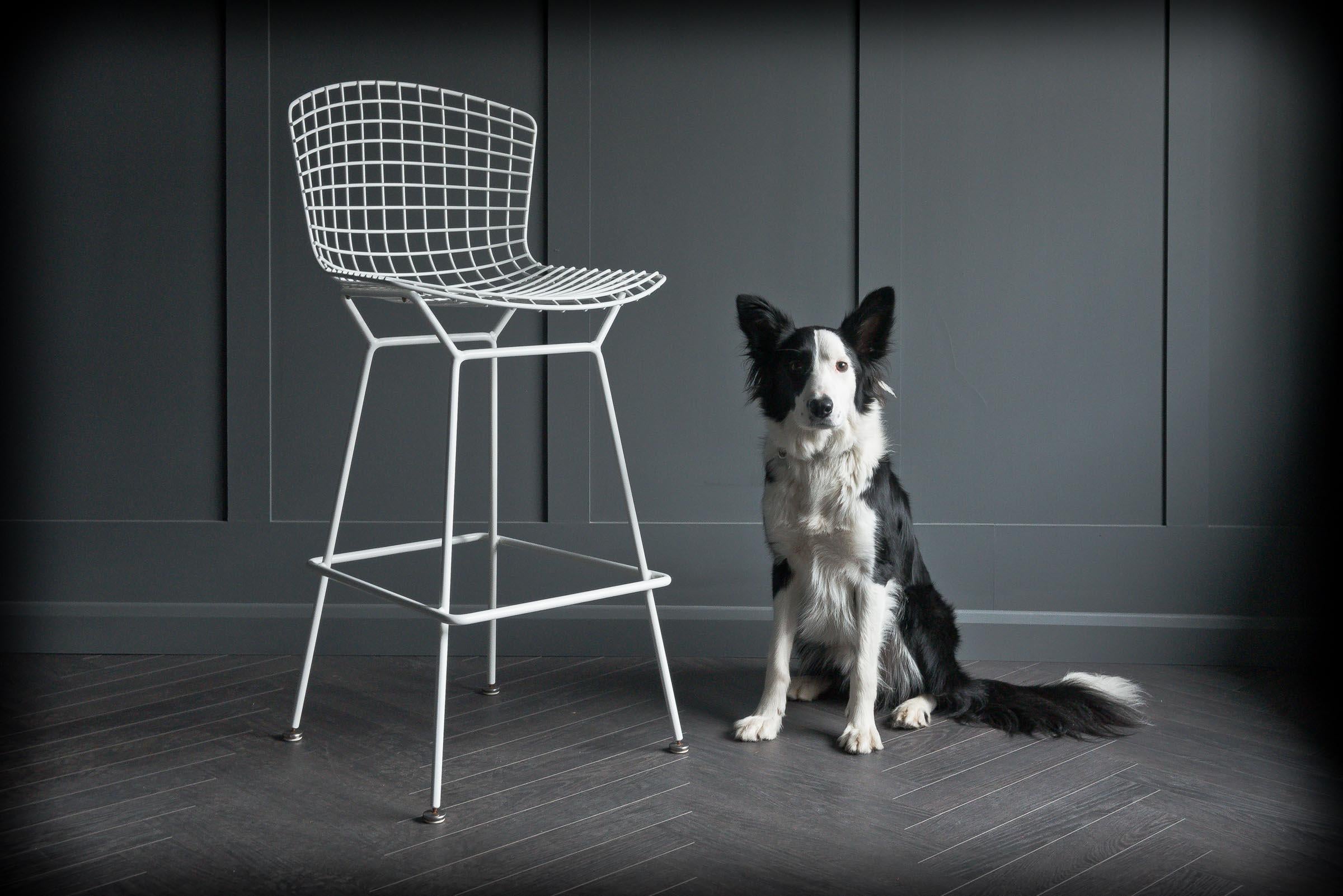 Chrome 4 Wire Bar Stools by Harry Bertoia for Knoll