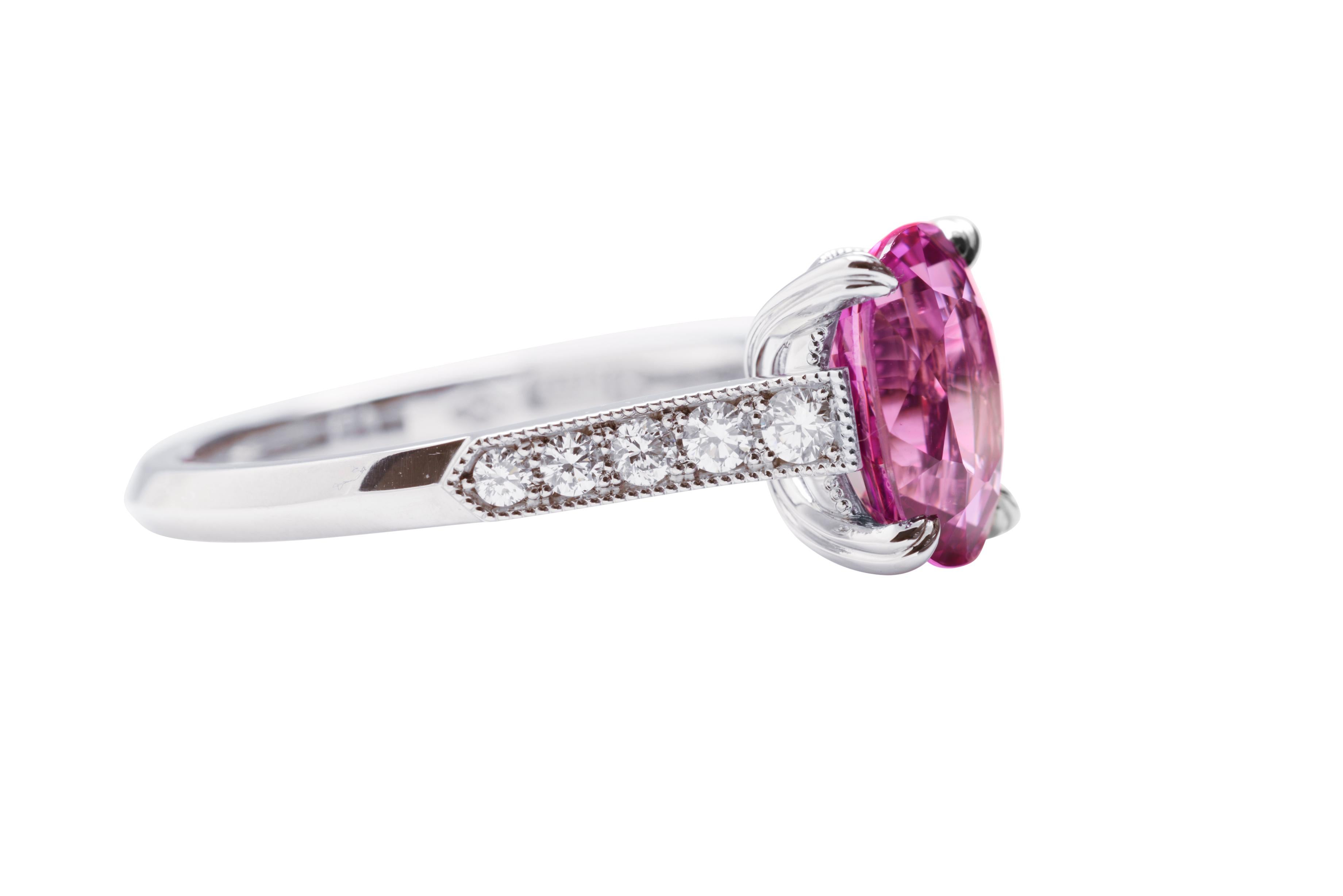 4.0 Carat Intense Pink Sapphire and Diamond Solitaire Ring in Platinum In New Condition For Sale In Sydney, NSW