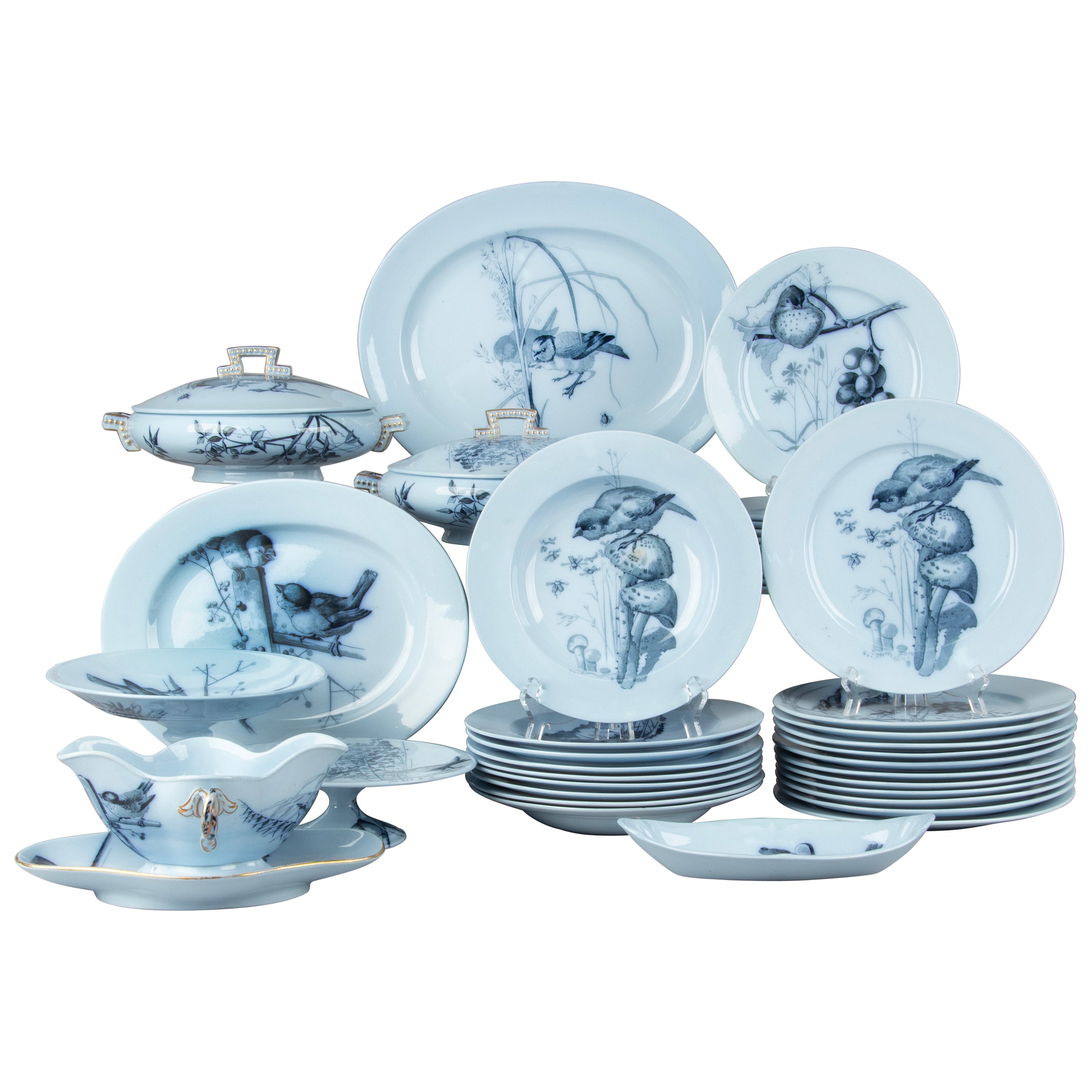 40-Piece Set Antique Dinnerware - T.C. Brown Westhead - England 1868