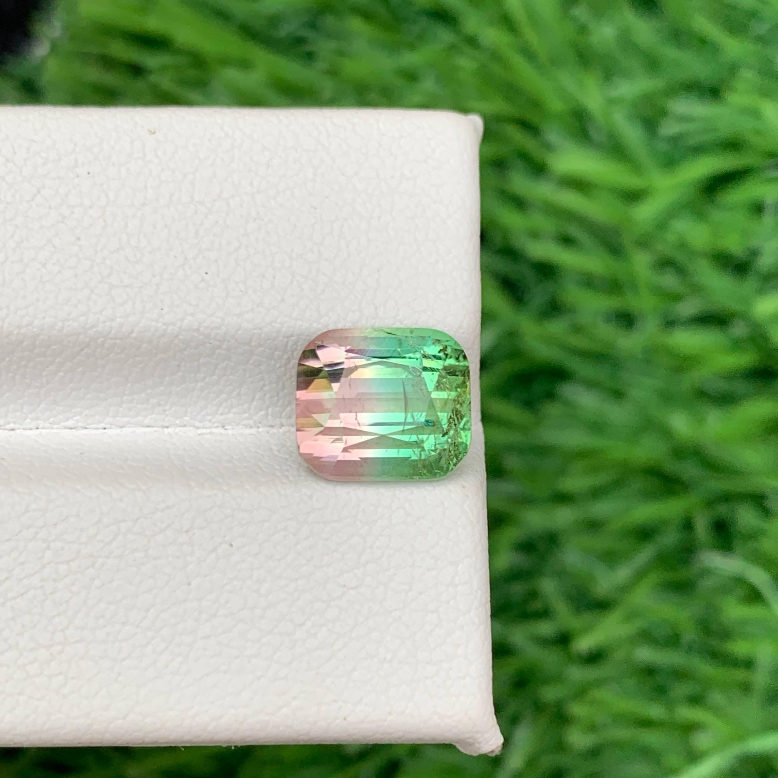 4.00 Carat Natural Loose Bi Color Tourmaline Stone Cushion Cut Afghan Gemstone (pierre précieuse afghane) en vente 5