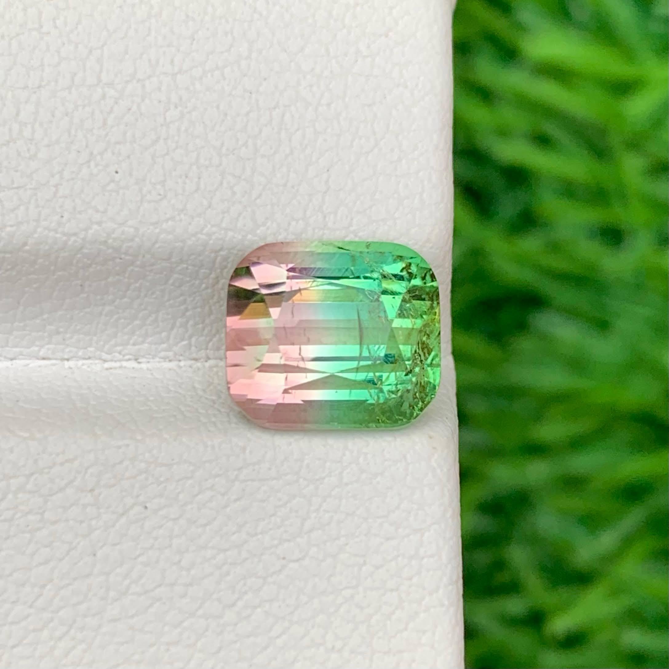 Poids 4.00 carat 
Dimensions 9.1x8.1x6.8mm
Traitement Aucun
Origine afghane 
Clarity SI 
Forme Coupe Coussin 





Cette tourmaline bicolore naturelle en vrac de 4,00 carats est une pierre précieuse remarquable, présentant un jeu de couleurs unique