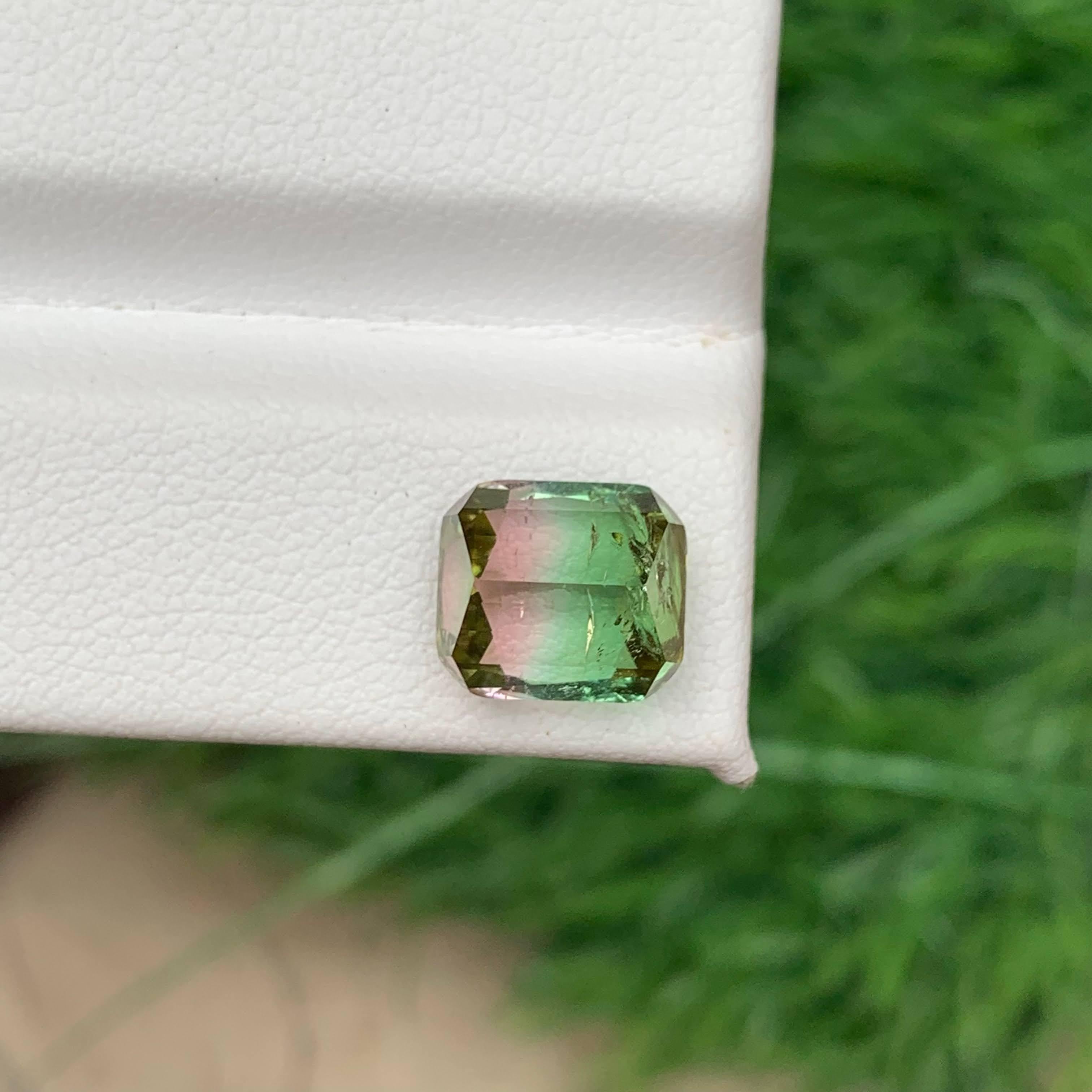 4.00 Carat Natural Loose Bi Color Tourmaline Stone Cushion Cut Afghan Gemstone (pierre précieuse afghane) Neuf - En vente à Bangkok, TH