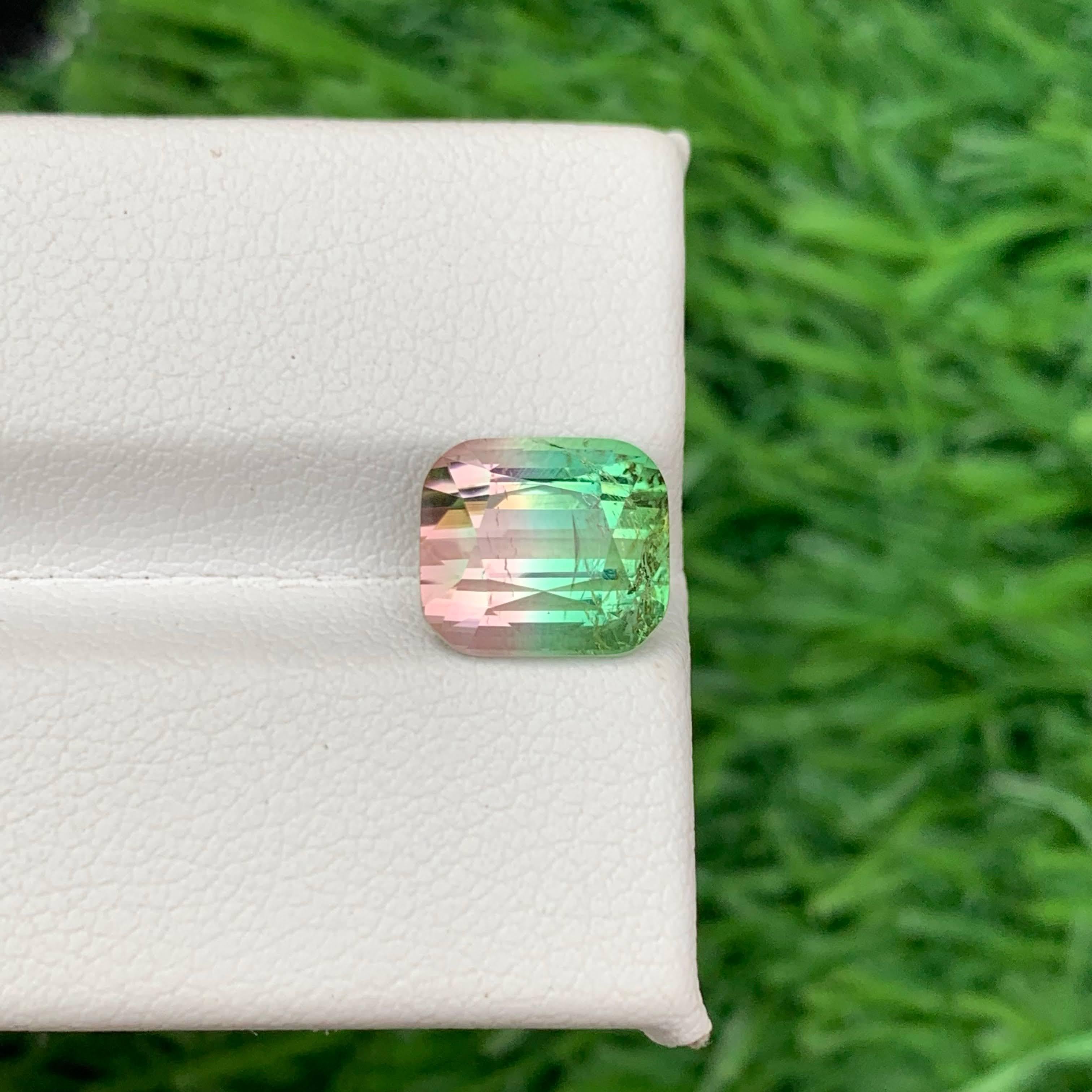 4.00 Carat Natural Loose Bi Color Tourmaline Stone Cushion Cut Afghan Gemstone (pierre précieuse afghane) en vente 3