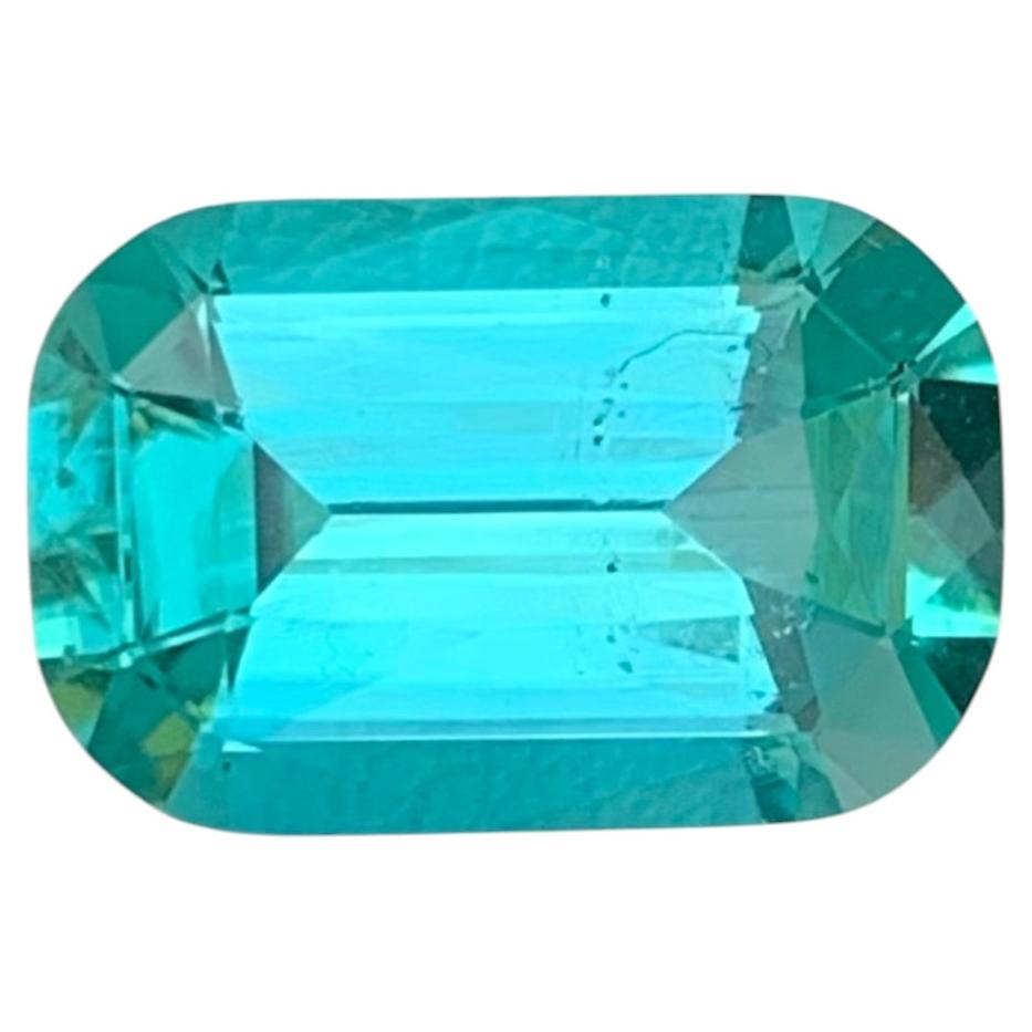 4.00 Carat Natural Loose Seafoam Tourmaline Cushion Cut Gemstone