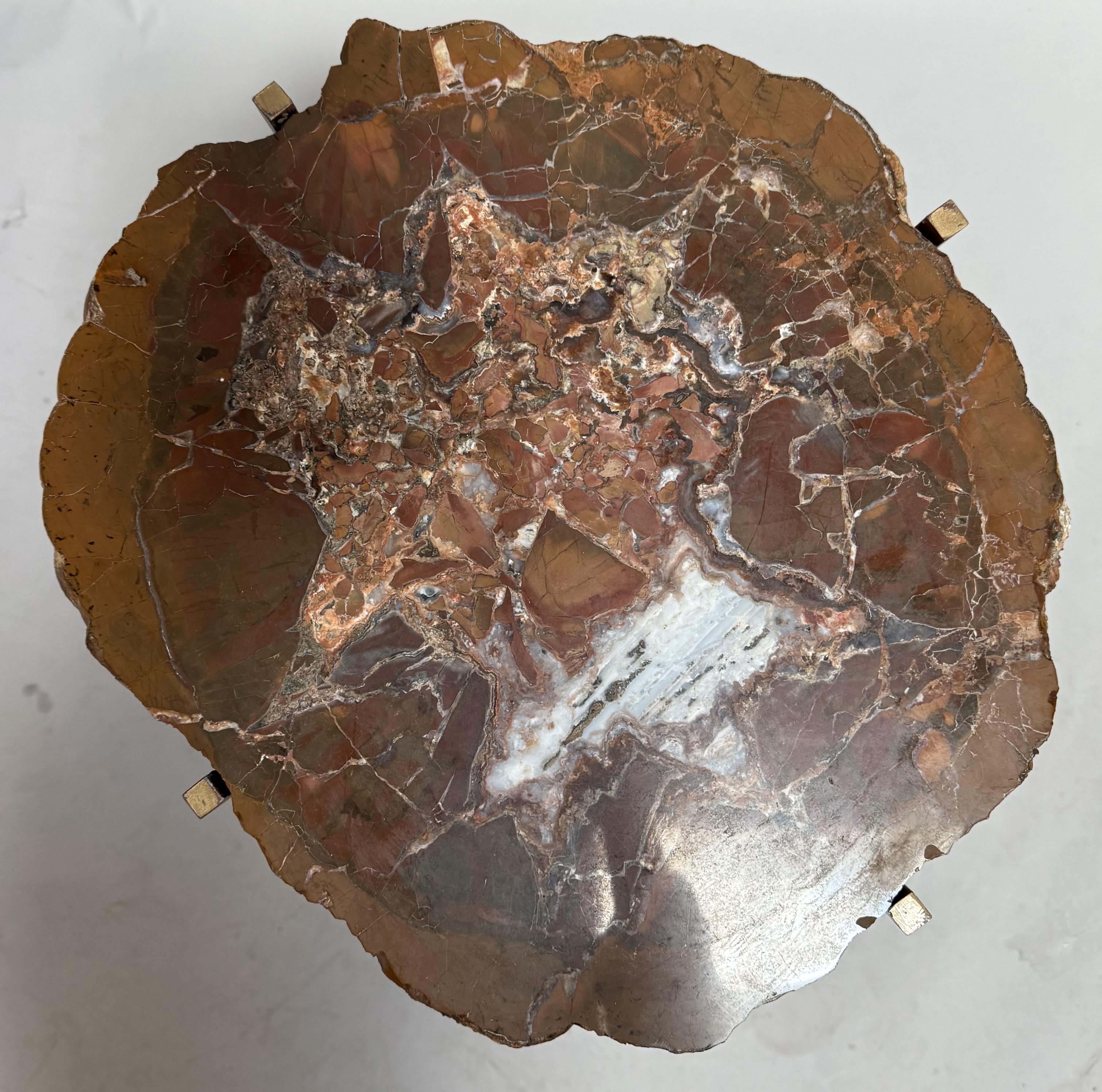 400 Million Year Old Petrified Wood Slab Table with Custom Gilded Iron Base For Sale 3