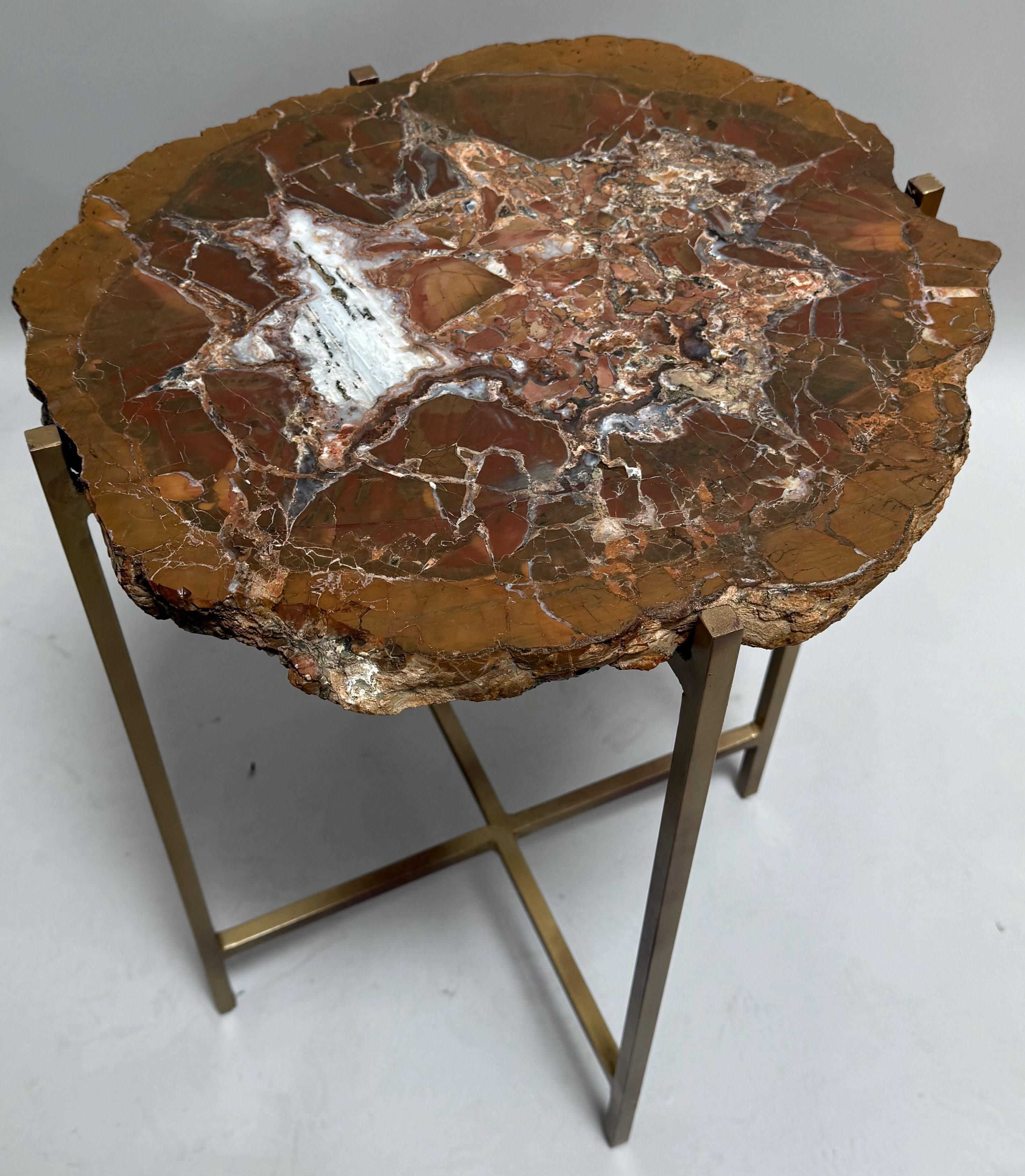 A striking fusion of ancient natural history and contemporary design, this sculptural side table features a 400-million-year-old petrified wood slab masterfully repurposed into functional art. The top, sourced from prehistoric fossilized timber,