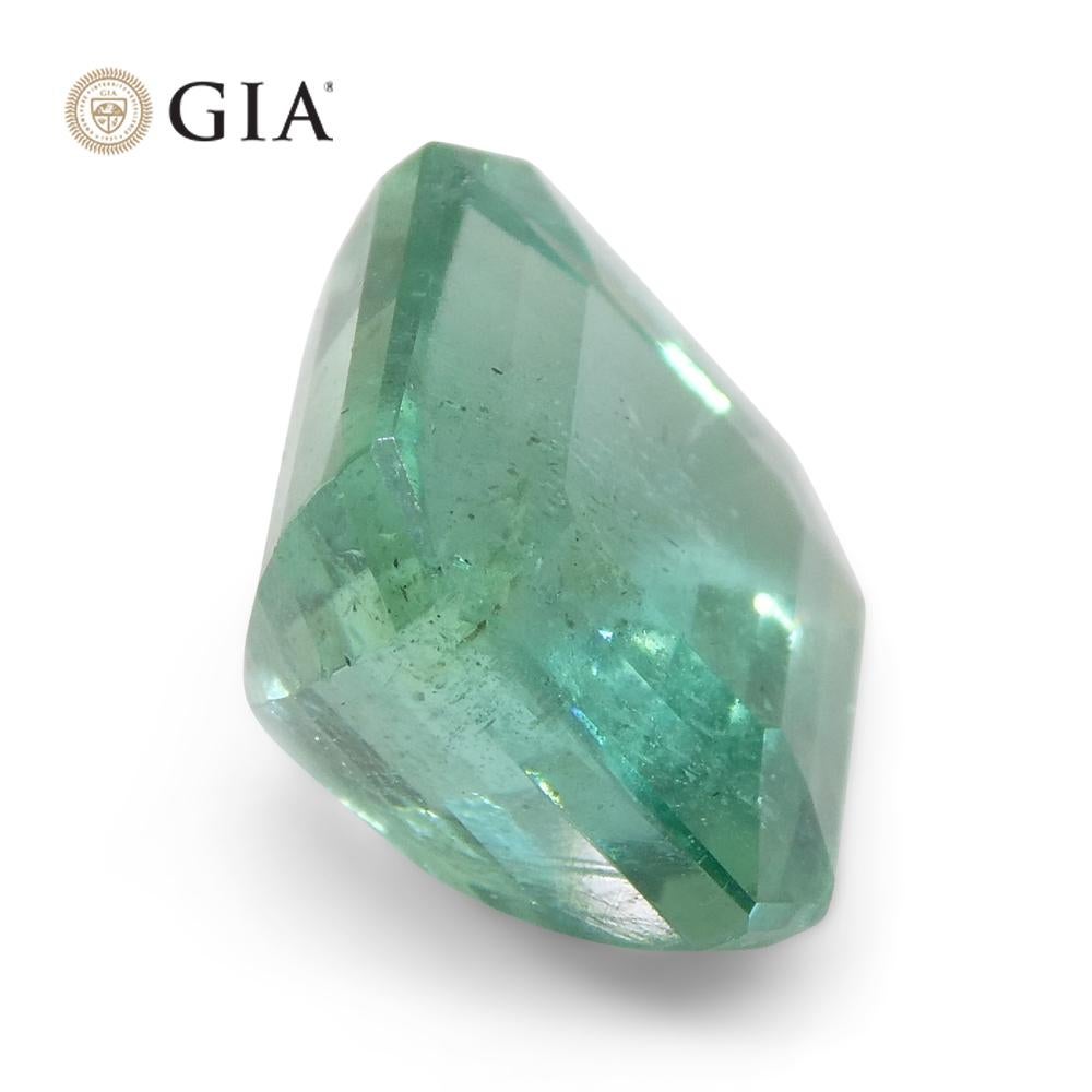 4.01ct Octagonal/Emerald Cut Green Emerald GIA Certified Zambia For Sale 7