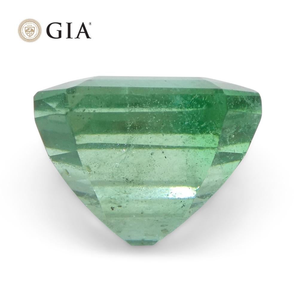 4.01ct Octagonal/Emerald Cut Green Emerald GIA Certified Zambia For Sale 8