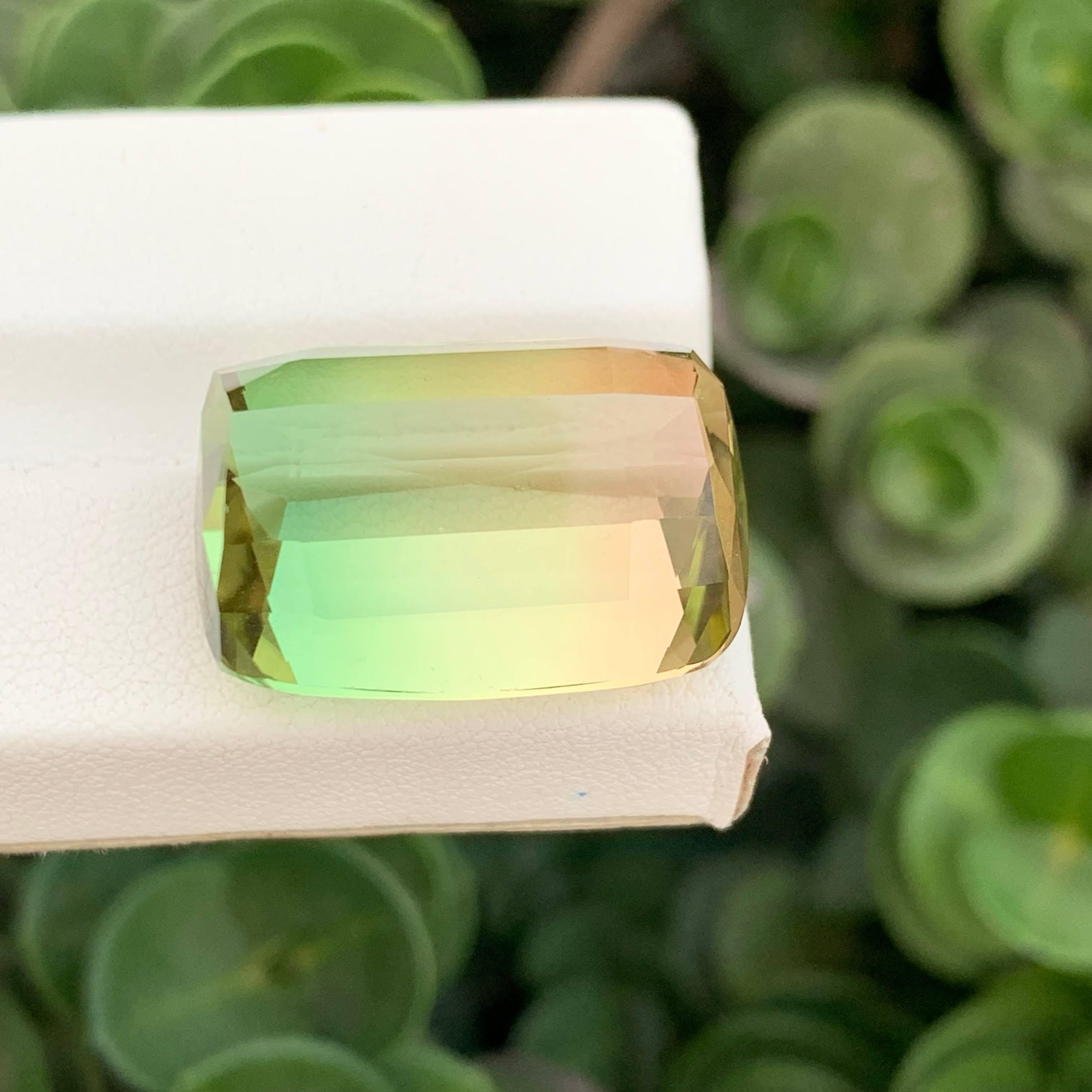 40.35 Carat Natural Loose Bi Color Tourmaline Stone Cushion Cut Afghan Gemstone (pierre précieuse afghane) en vente 4