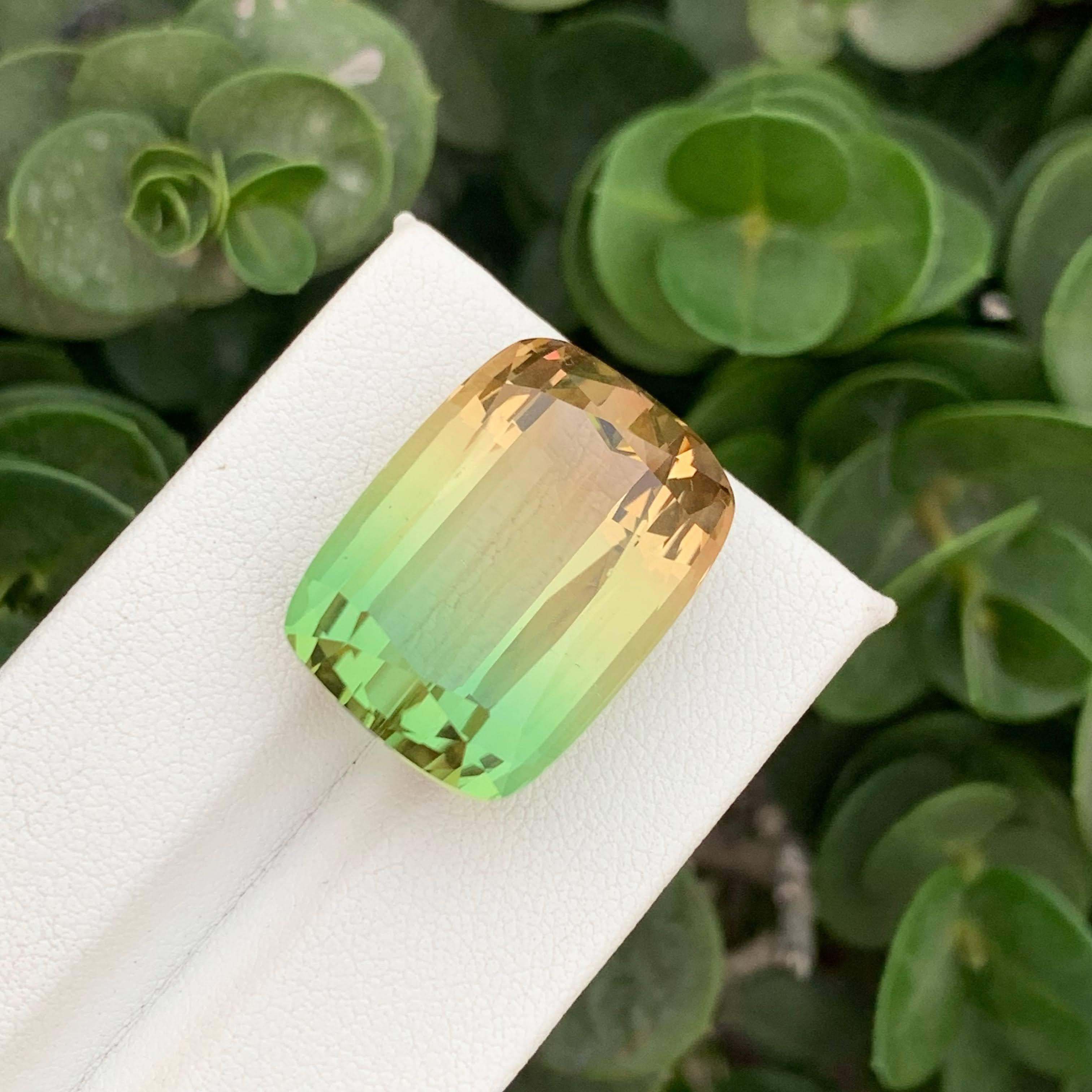 Poids 40,35 carats 
Dimensions 22.3x16.4x12.4mm
Traitement Aucun 
Origine Afrique 
Clarity Eye Clean 
Forme Coupe Coussin 





Cette magnifique tourmaline bicolore naturelle de 40,35 carats est un véritable chef-d'œuvre de la nature, présentant un