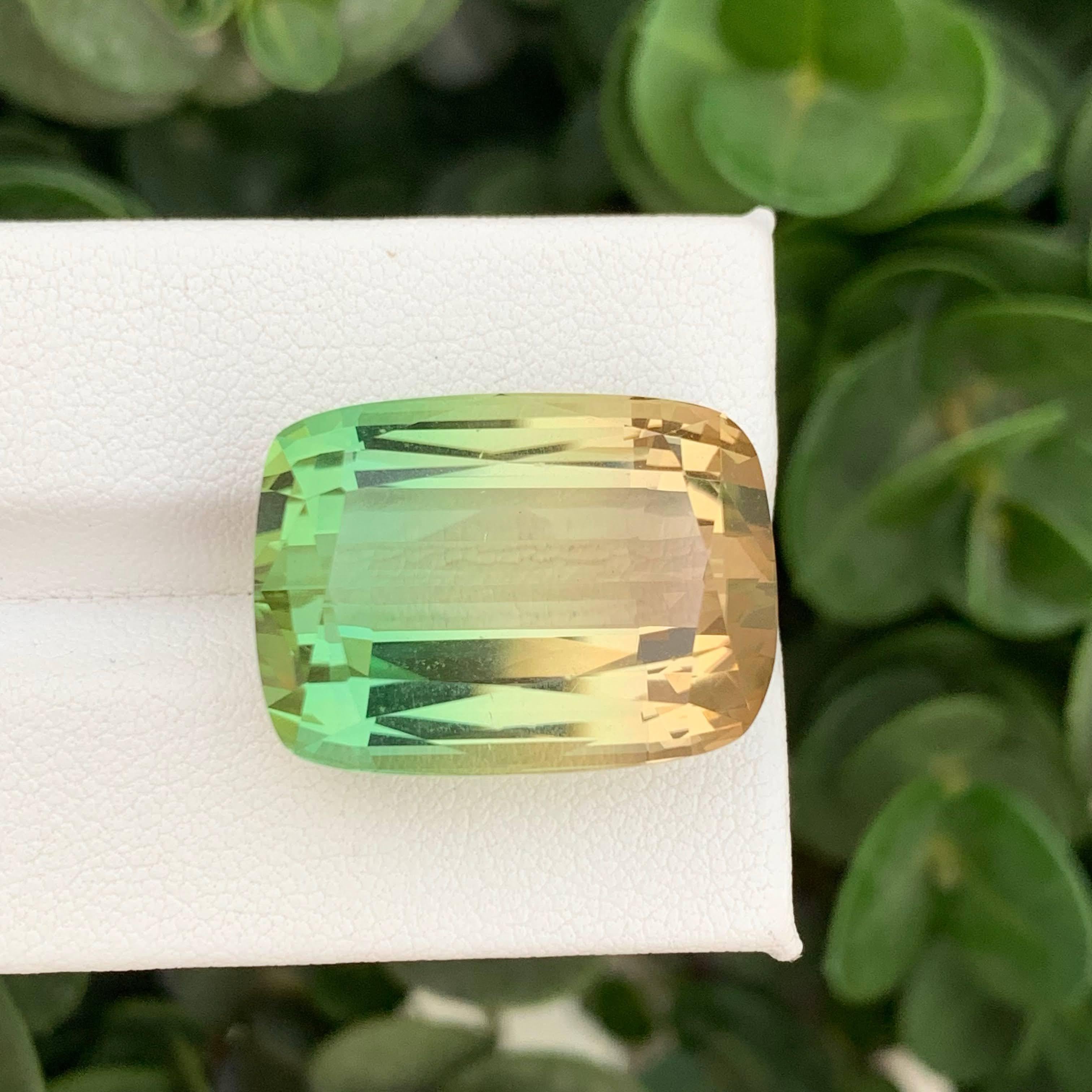 40.35 Carat Natural Loose Bi Color Tourmaline Stone Cushion Cut Afghan Gemstone (pierre précieuse afghane) Neuf - En vente à Bangkok, TH