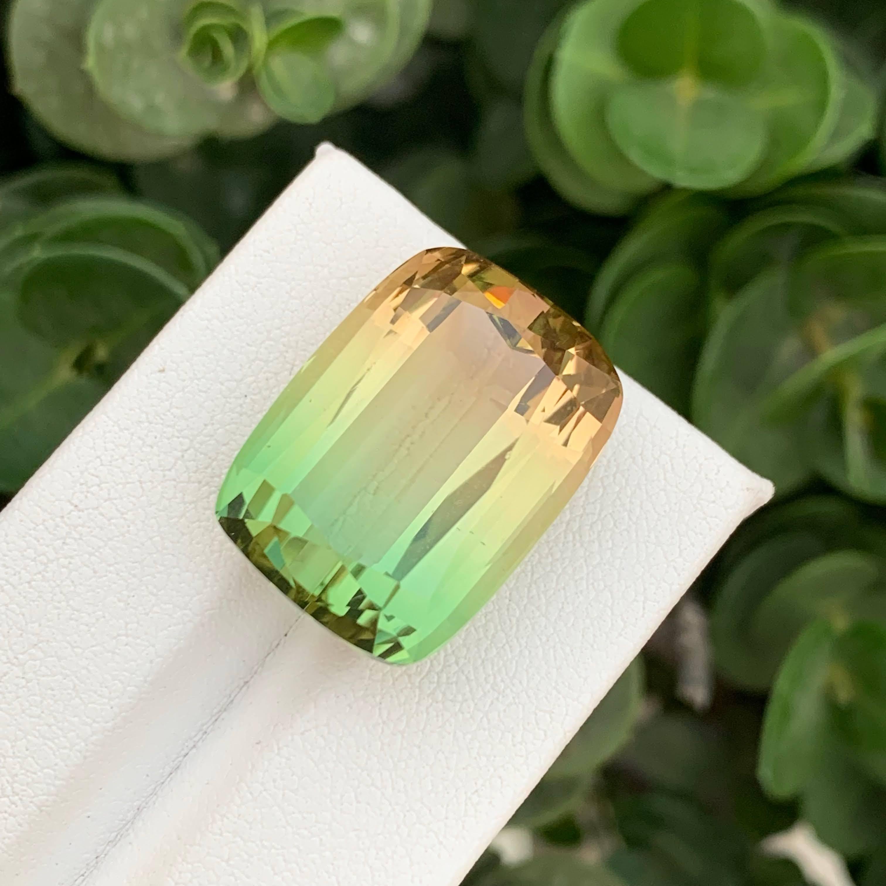 40.35 Carat Natural Loose Bi Color Tourmaline Stone Cushion Cut Afghan Gemstone (pierre précieuse afghane) Unisexe en vente