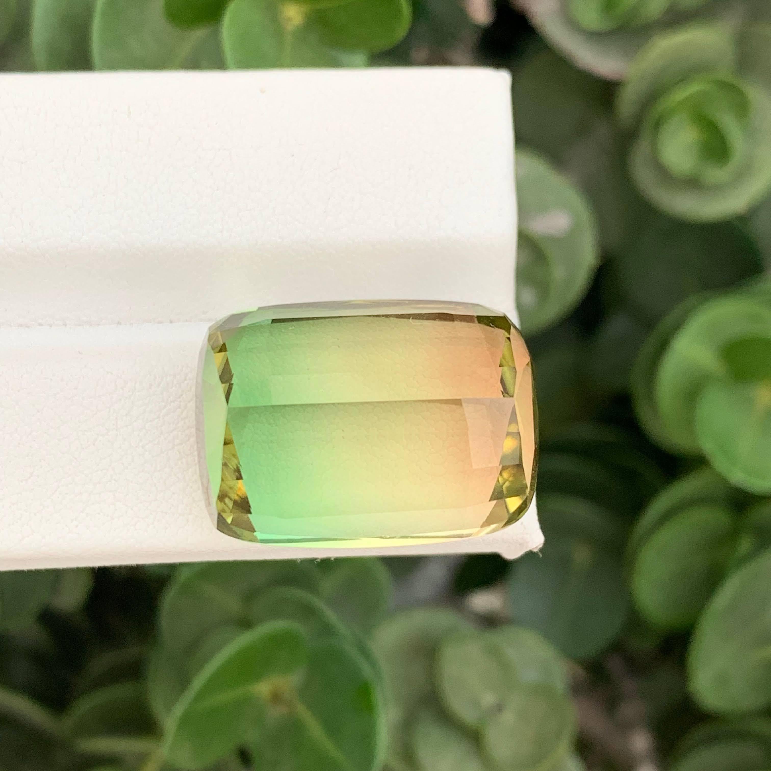 40.35 Carat Natural Loose Bi Color Tourmaline Stone Cushion Cut Afghan Gemstone (pierre précieuse afghane) en vente 3