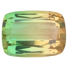 40.35 Carat Natural Loose Bi Color Tourmaline Stone Cushion Cut Afghan Gemstone (pierre précieuse afghane)