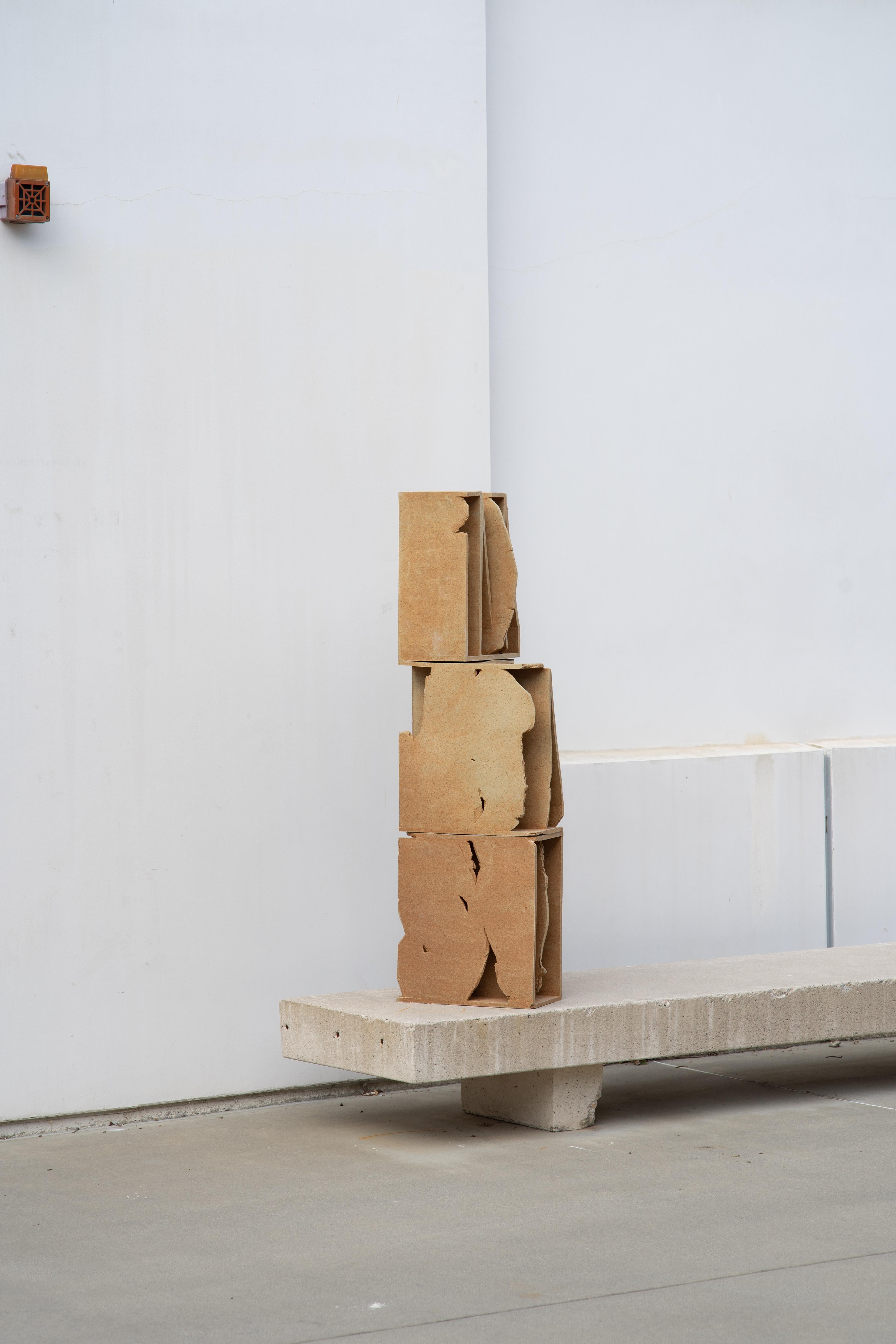Unique piece of collectible design. Handcrafted modular bookcase. This is a unique piece which is made of fired molded clay blocks.  It is a 4 months work at the University of L.A. experimenting with clay. They are connected with metal screws