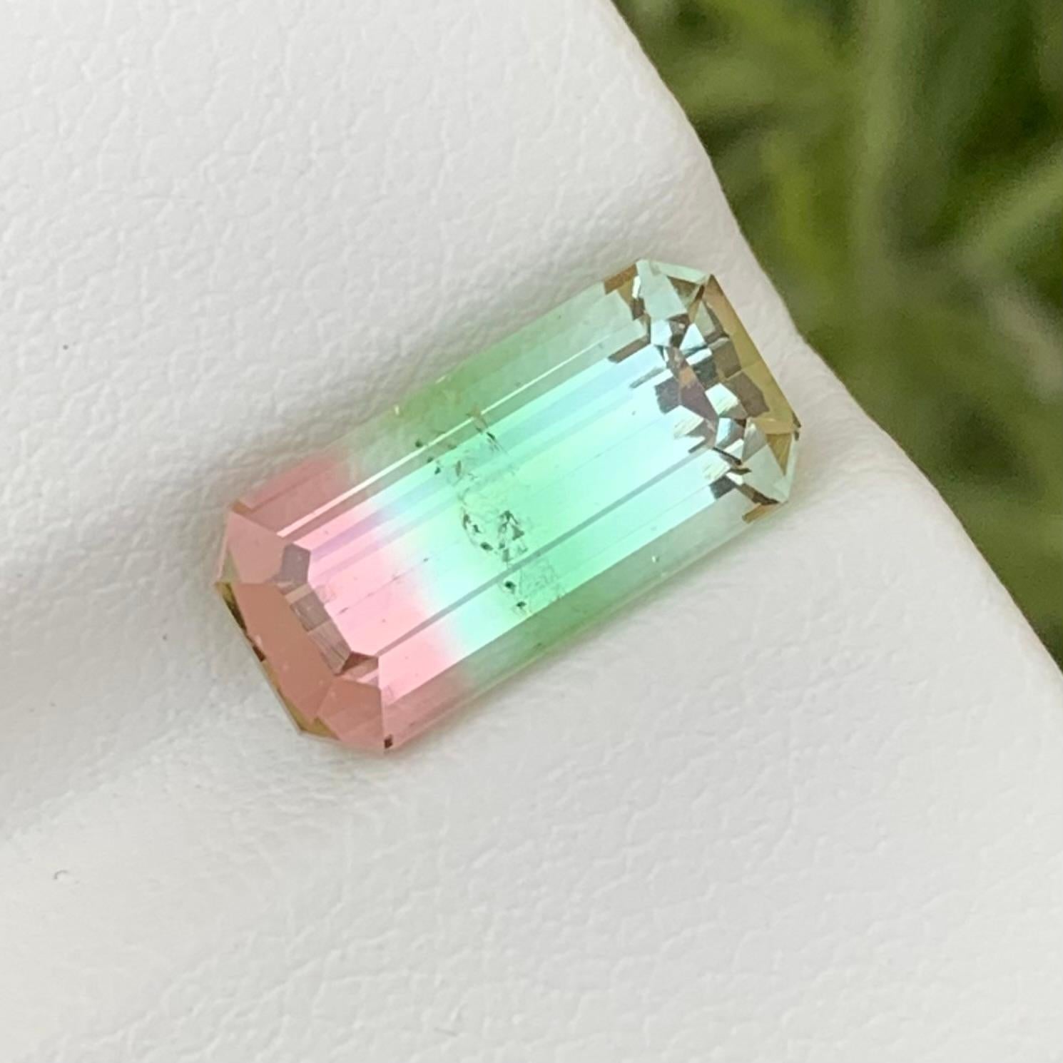 Loose Tri Colour Tourmaline 
Weight: 4.05 Carats 
Dimension: 13 x 6.4 x 5.6 Mm
Colour: Mint Green, Pink and Seaform 
Origin: Afghanistan 
Certificate: On Demand 
Shape: Emerald 

Tri-color tourmaline, a captivating gemstone renowned for its unique