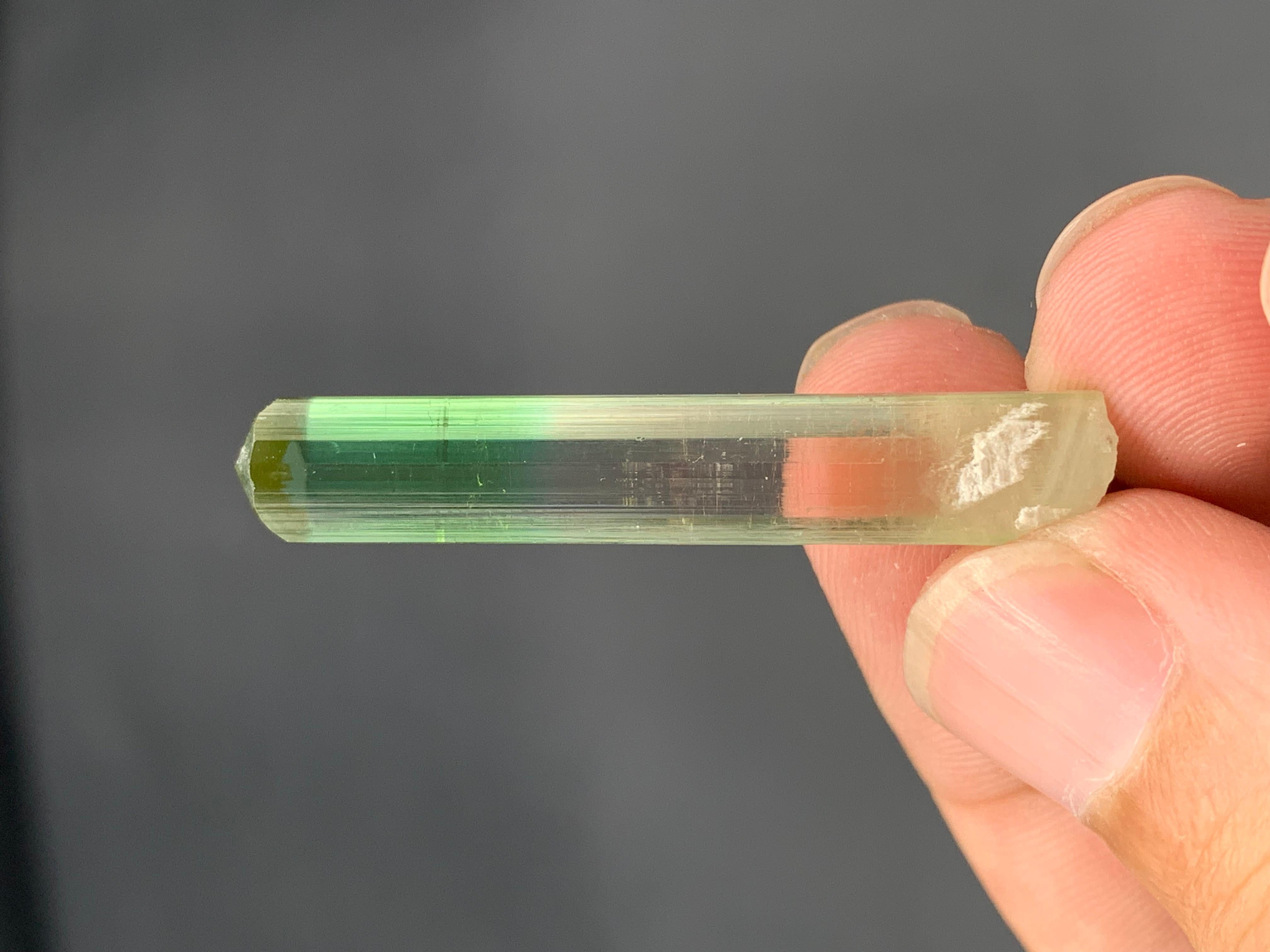 4,07 grammi di grazioso cristallo naturale di tormalina bi-colore in vendita 4