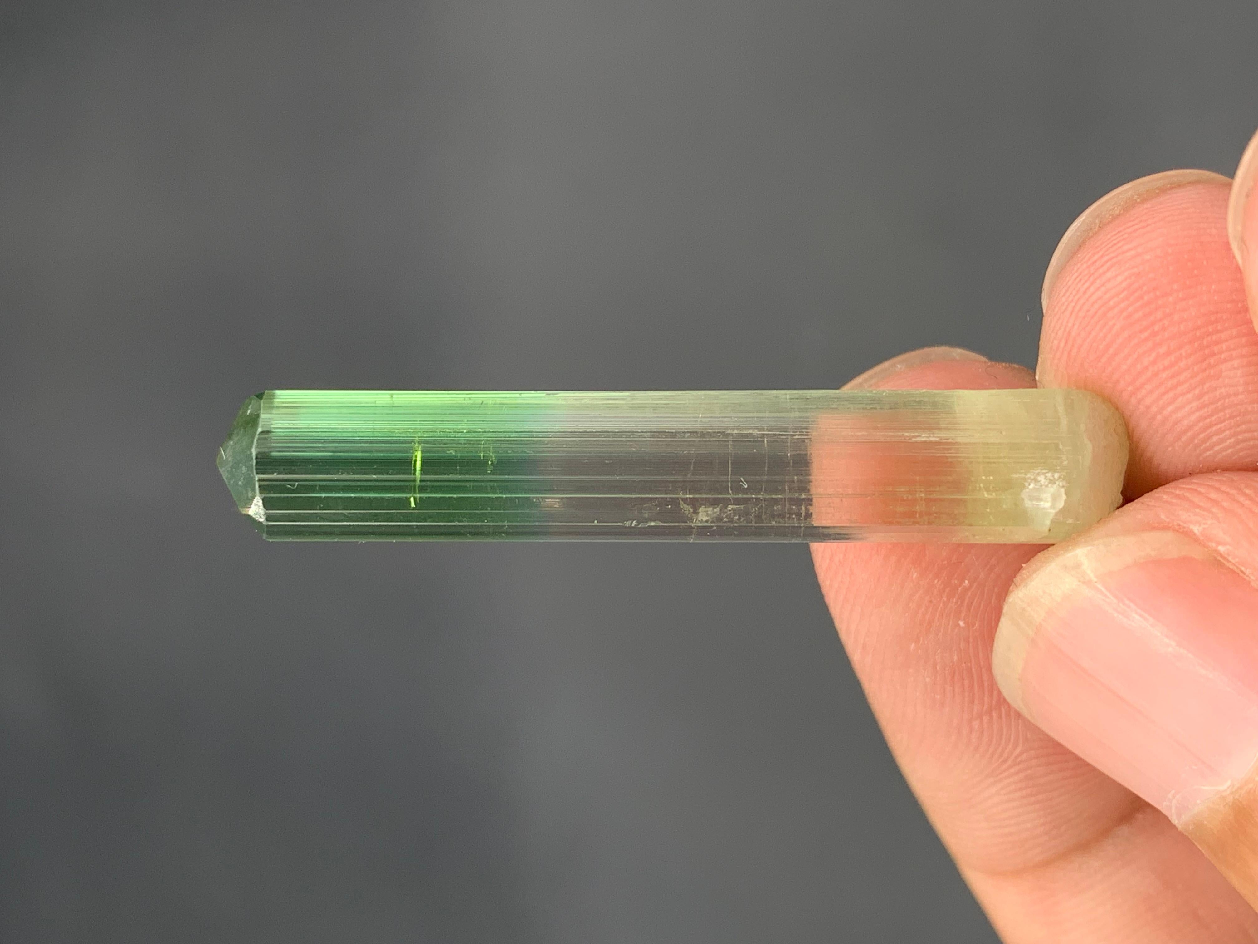 4,07 grammi di grazioso cristallo naturale di tormalina bi-colore in vendita 5