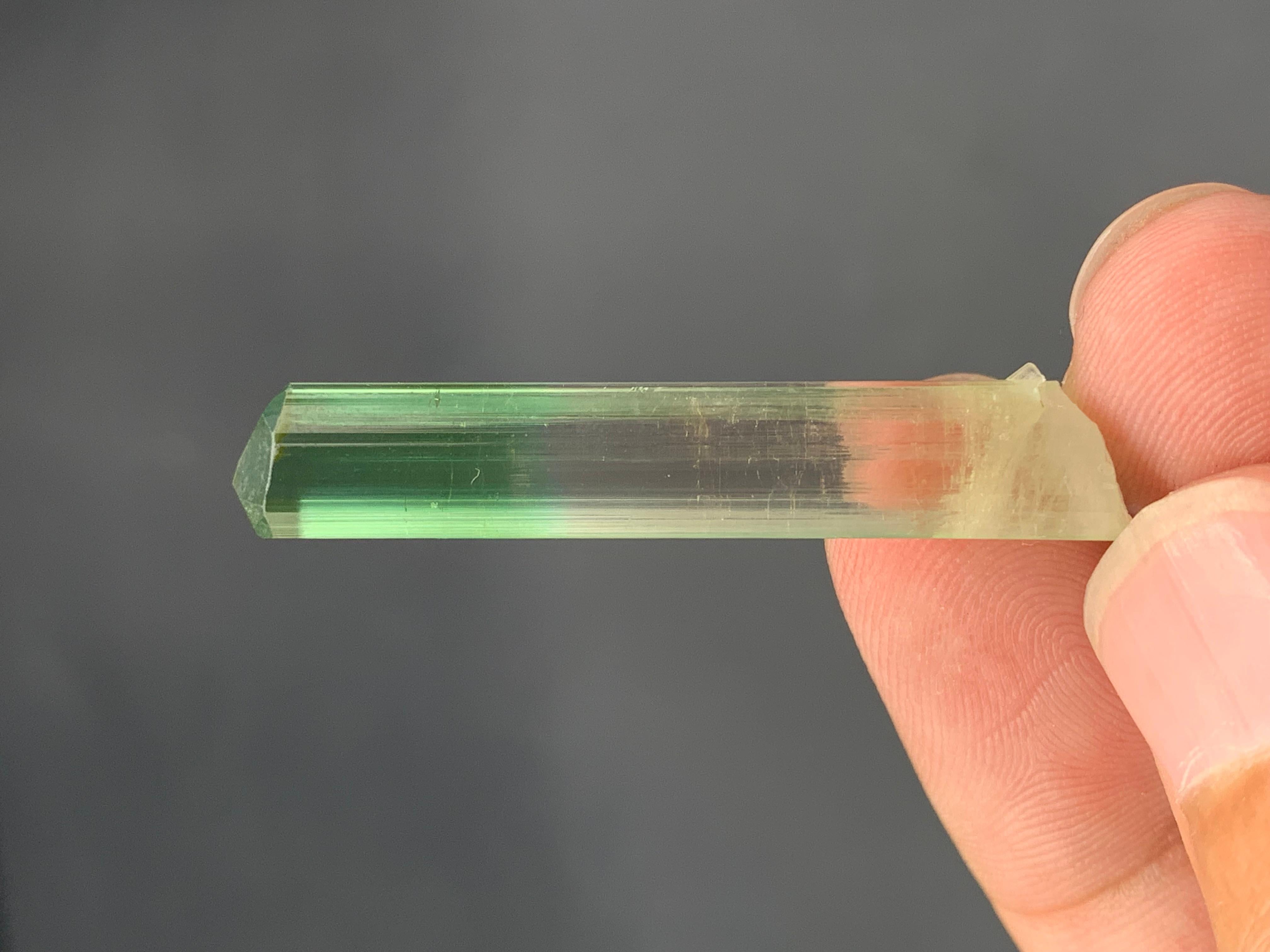 INFORMAZIONI SUL PRODOTTO:

Tipo di esemplare: Grazioso cristallo di tormalina bicolore
Peso: 4,07 grammi
Dimensioni: H: 4,1 x L: 0,7 x P: 0,7 Cm
Origine: Miniera di Paprook, provincia di Nuristan,
Afghanistan
Trattamento: Nessuno

DESCRIZIONE:

Ti