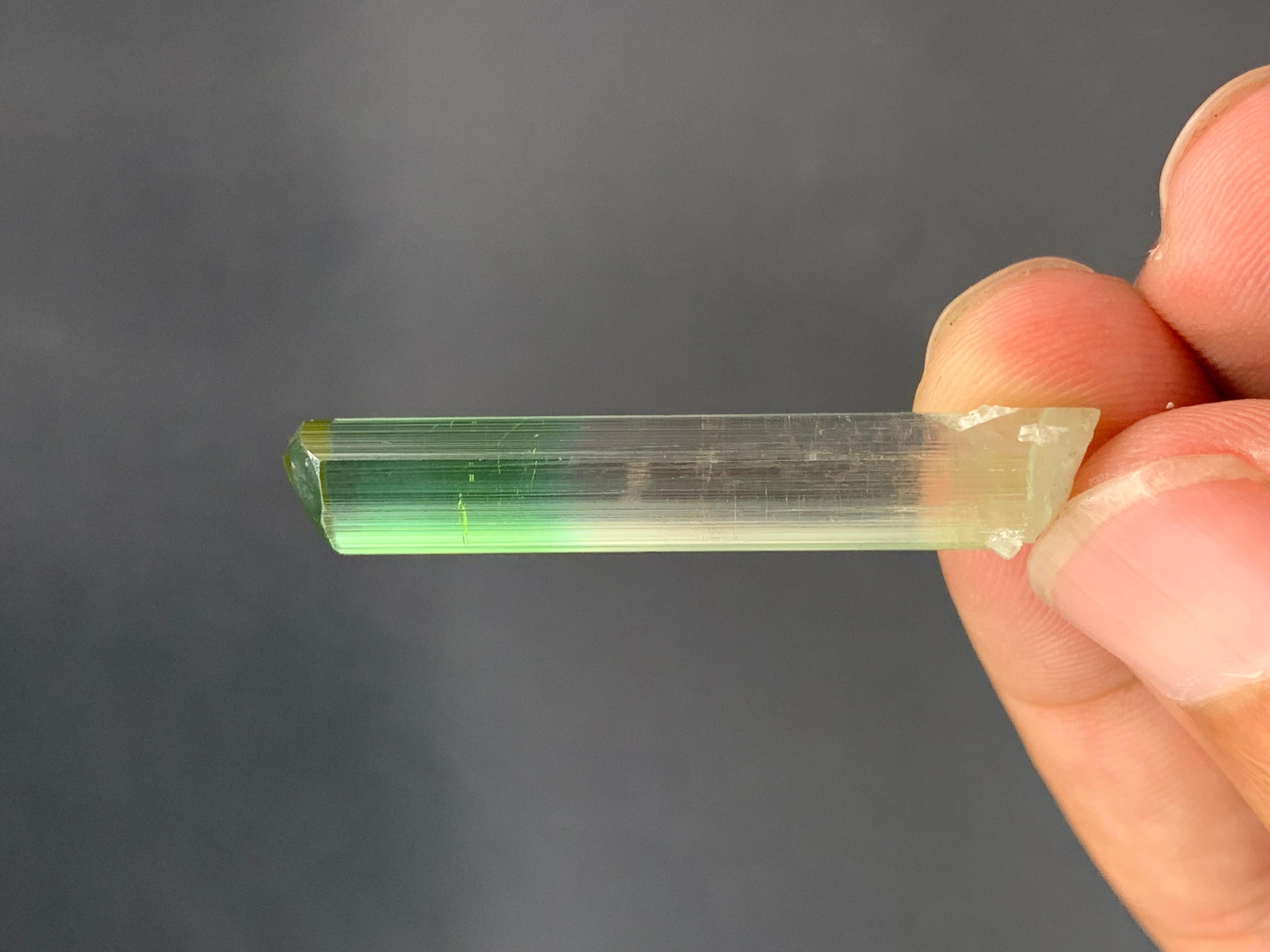 Afghano 4,07 grammi di grazioso cristallo naturale di tormalina bi-colore in vendita