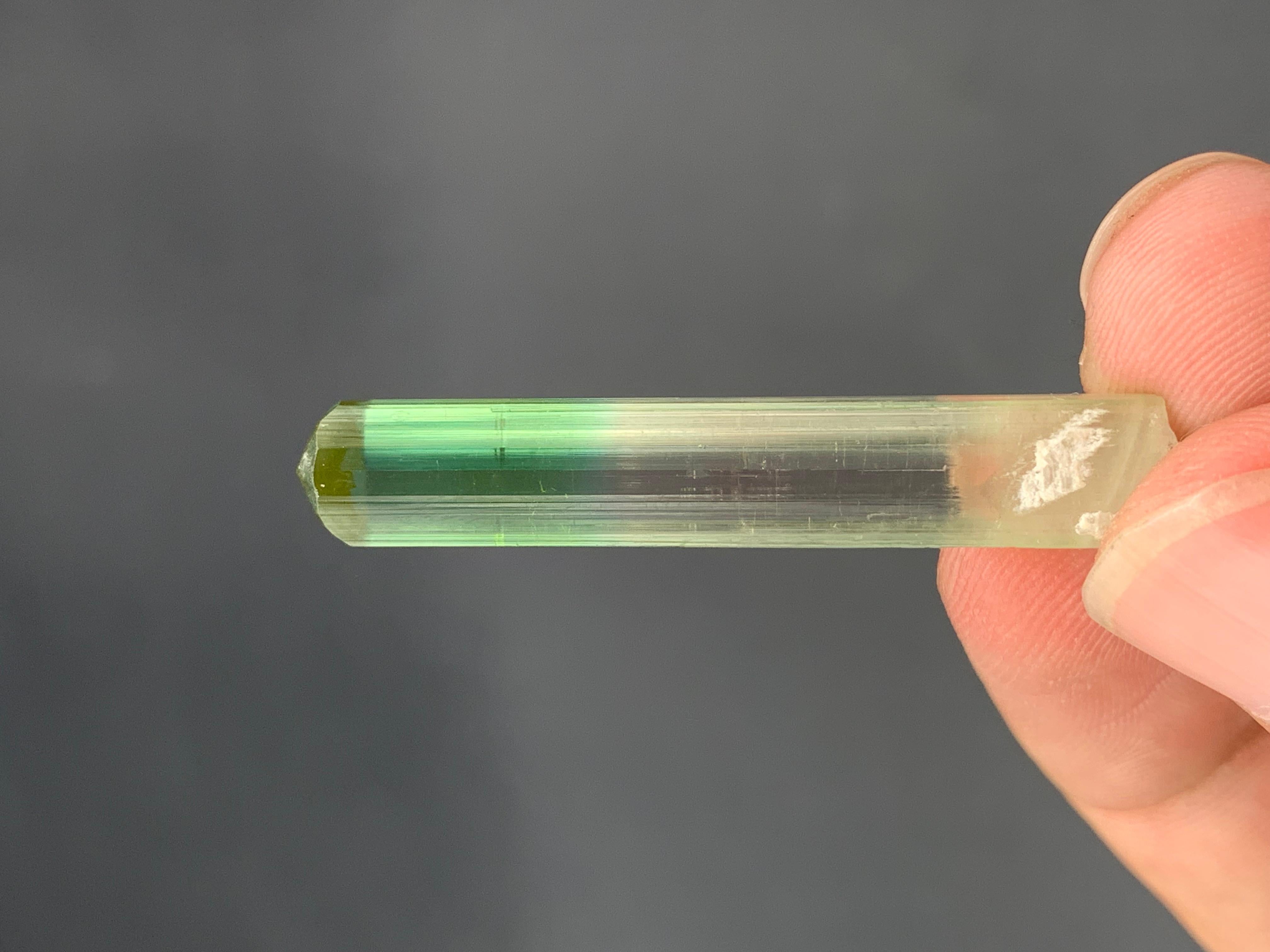 4,07 grammi di grazioso cristallo naturale di tormalina bi-colore In condizioni buone in vendita a Peshawar, PK