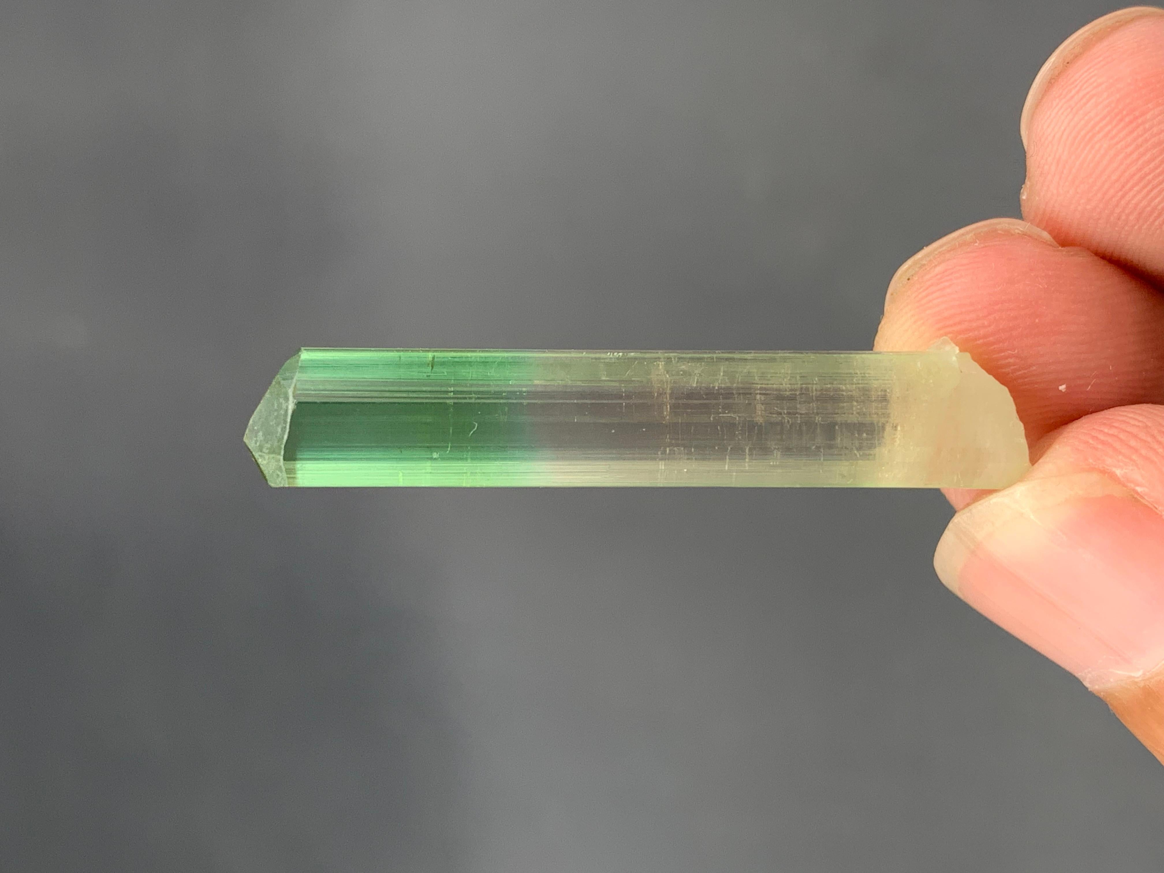 XXI secolo e contemporaneo 4,07 grammi di grazioso cristallo naturale di tormalina bi-colore in vendita