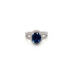 4.0 Total carat Sapphire and Diamond Halo Pave-Set Ladies Ring