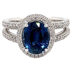 4.0 Total carat Sapphire and Diamond Halo Pave-Set Ladies Ring