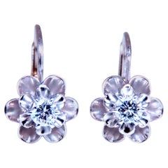 .40ct Natural Round Diamond European Wire Earrings 12488*