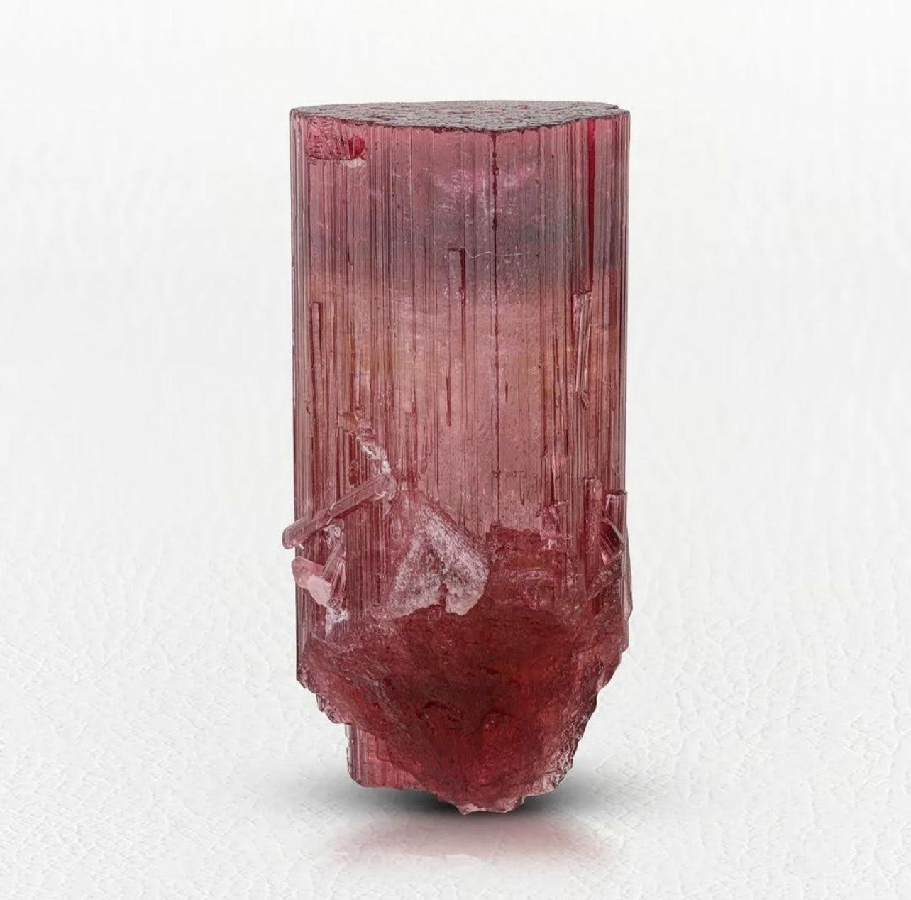 Product Information:

Specimen Name: Tourmaline Crystal

Weight: 41 grams

Dimensions: H: 5 x W: 2.5 x D: 2 cm

Treatment: None

Origin: Paprok Mine, Nuristan Province, 
Afghanistan 

Description: 

This vibrant pinkish-red terminated tourmaline