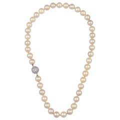 41 Round Akoya Pearls Strand Necklace Set in Metal Ball Clasp