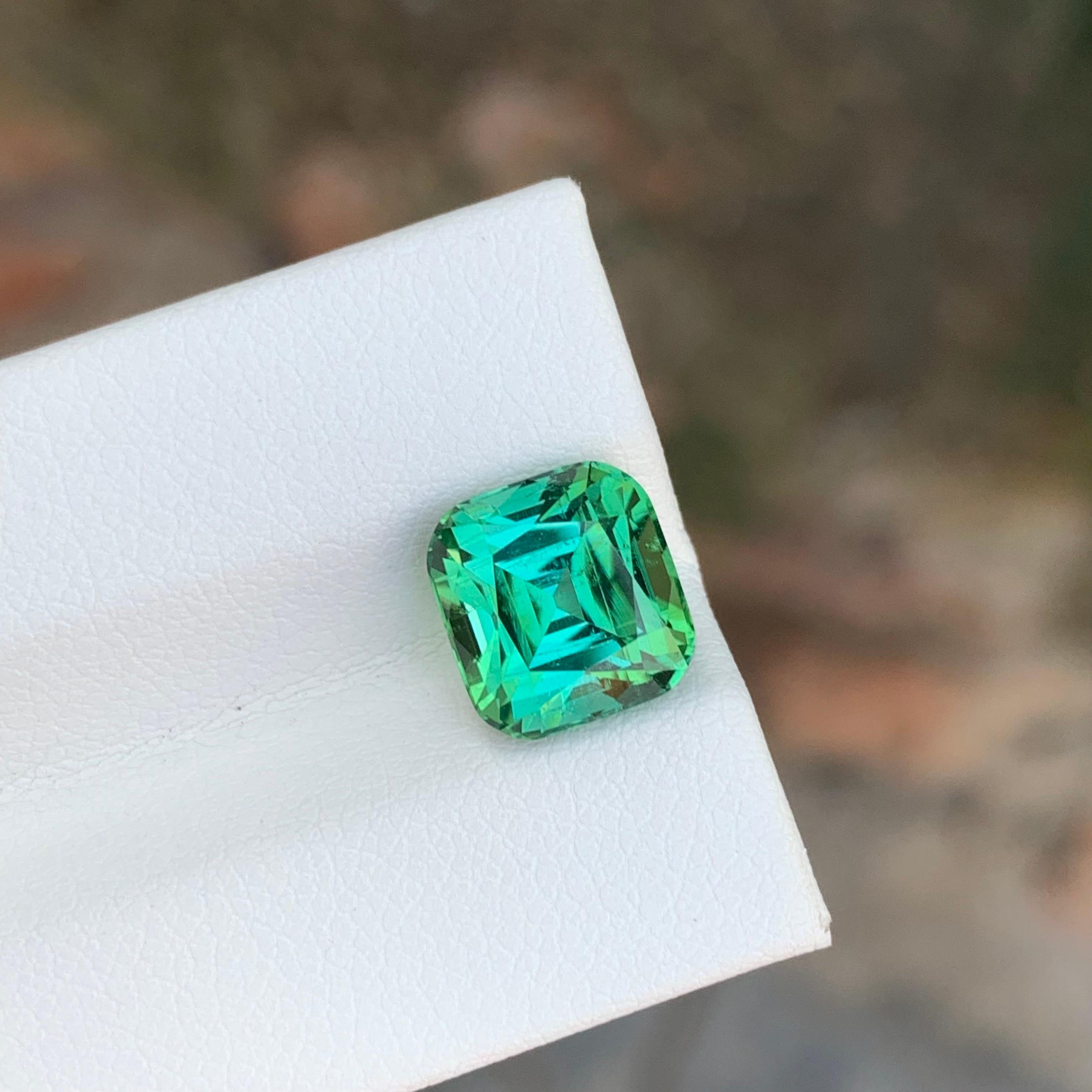 4.15 Carat Natural Loose Green Tourmaline Cushion Shape Gemstone (Tourmaline verte en forme de coussin) en vente 5