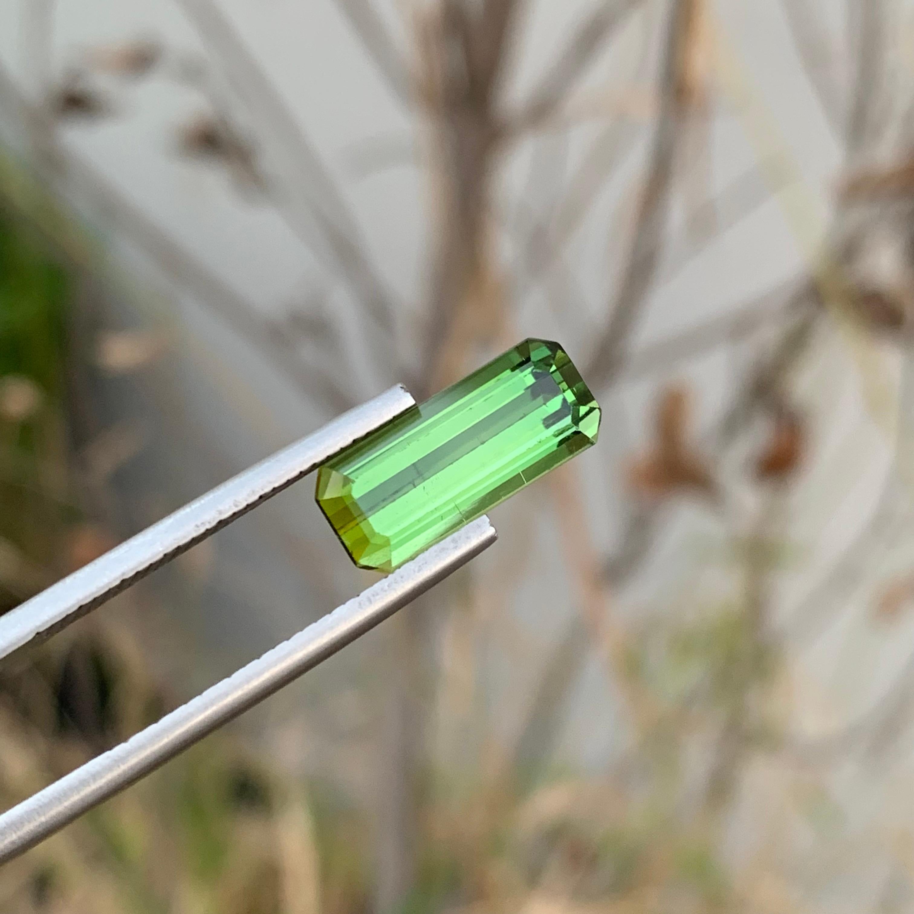 Loose Green Tourmaline
Weight: 4.15 Carats
Dimension: 14 x 6.1 x 5.2 Mm
Colour: Green
Origin: Afghanistan
Certificate: On Demand
Treatment: Non

Tourmaline is a captivating gemstone known for its remarkable variety of colors, making it a favorite