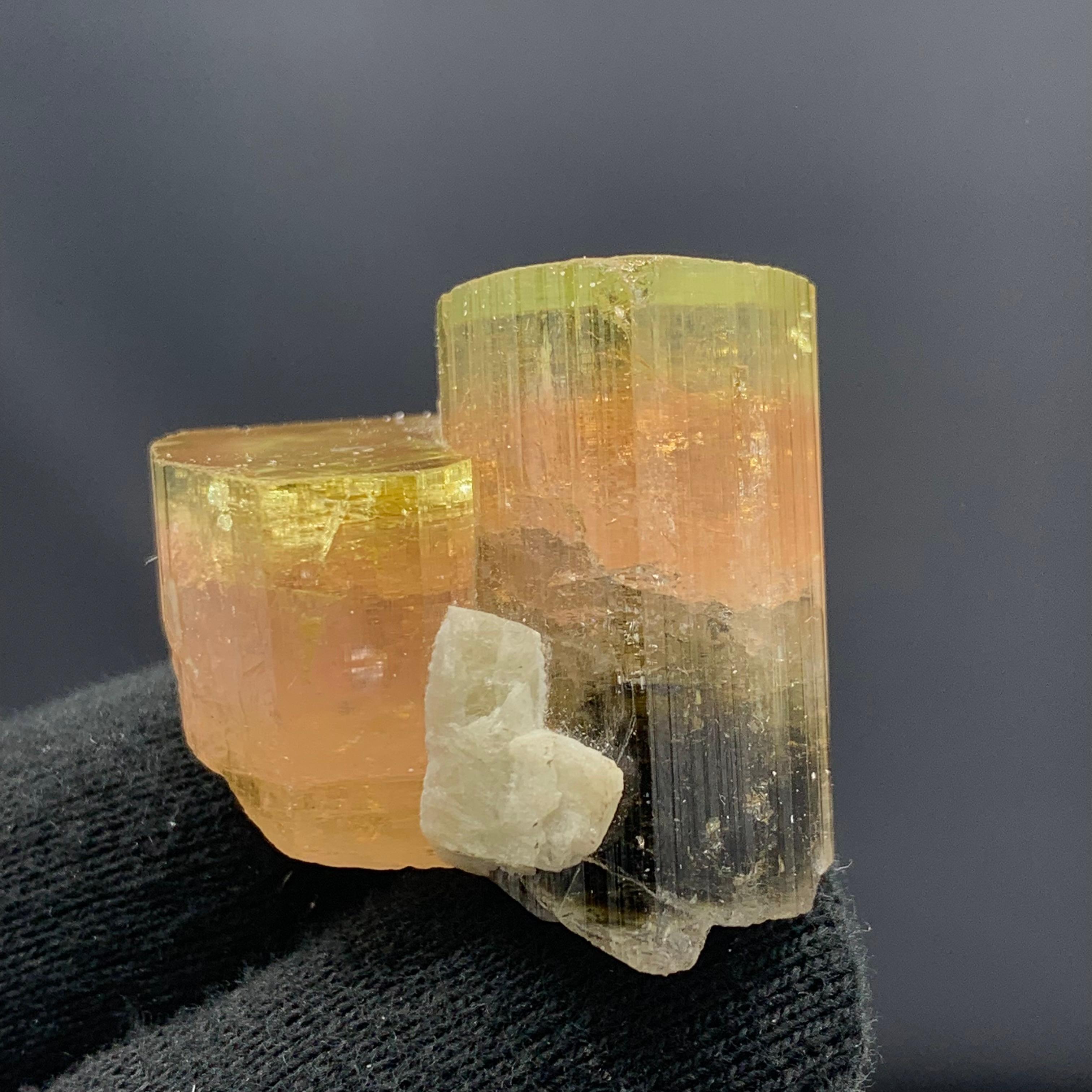 41.50 Gram Beautiful Tri Color Dual Tourmaline Specimen From Afghanistan 

Weight: 41.50 Gram 
Dimension: 3.2 x 3.5 x 2.2 Cm 
Origin: Paprook Mine, Afghanistan 

Tourmaline is a crystalline silicate mineral group in which boron is compounded with