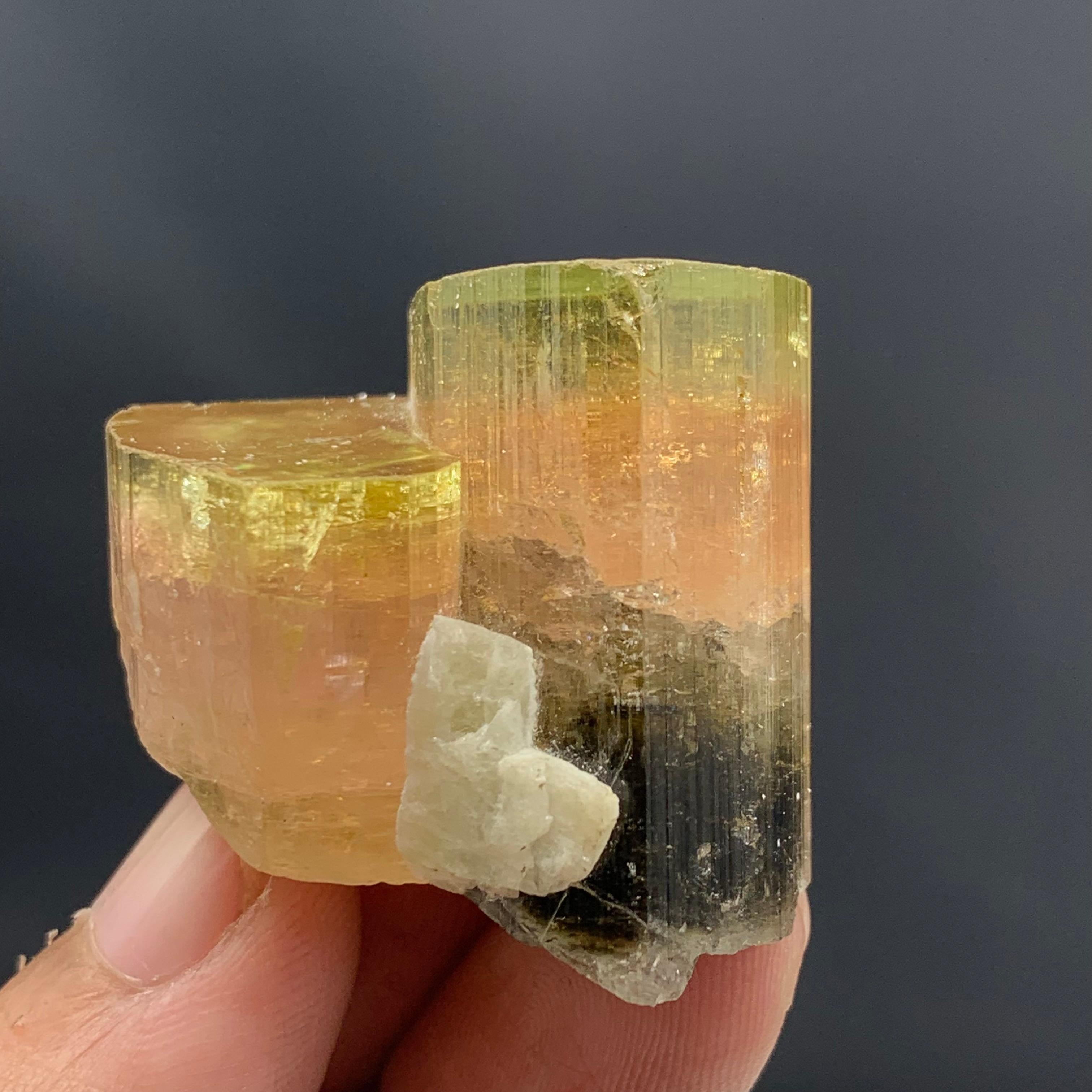 Other 41.50 Gram Beautiful Tri Color Dual Tourmaline Specimen From Afghanistan  For Sale