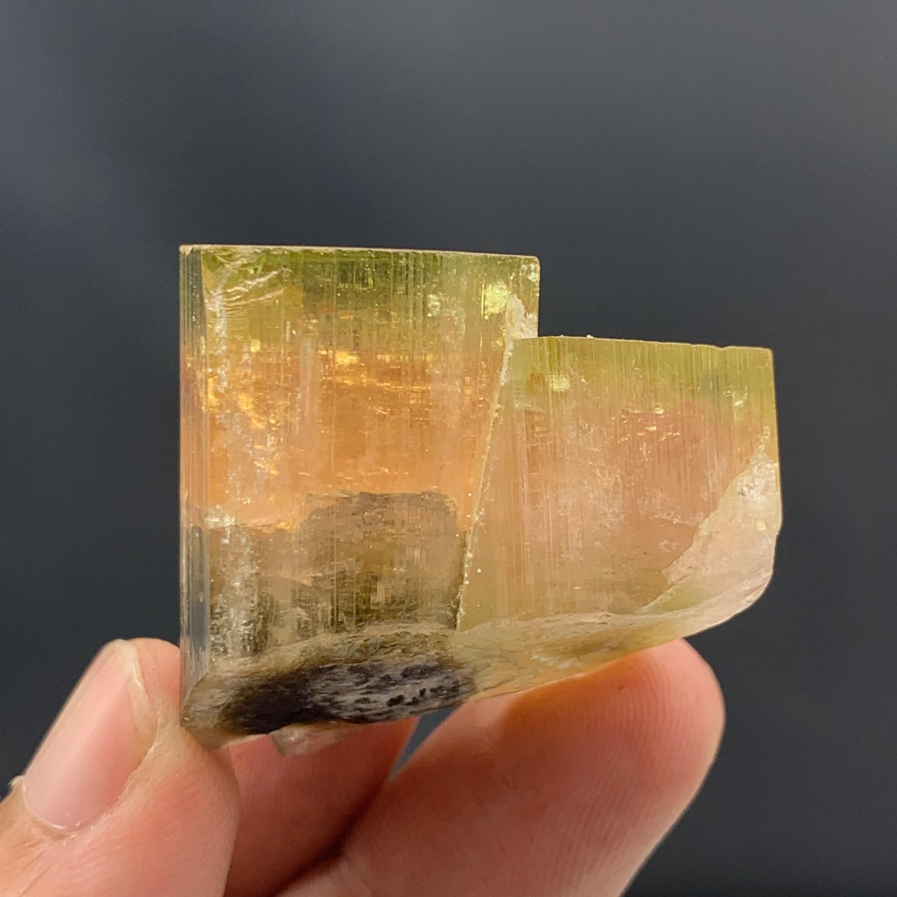 18th Century and Earlier 41.50 Gram Beautiful Tri Color Dual Tourmaline Specimen From Afghanistan  For Sale