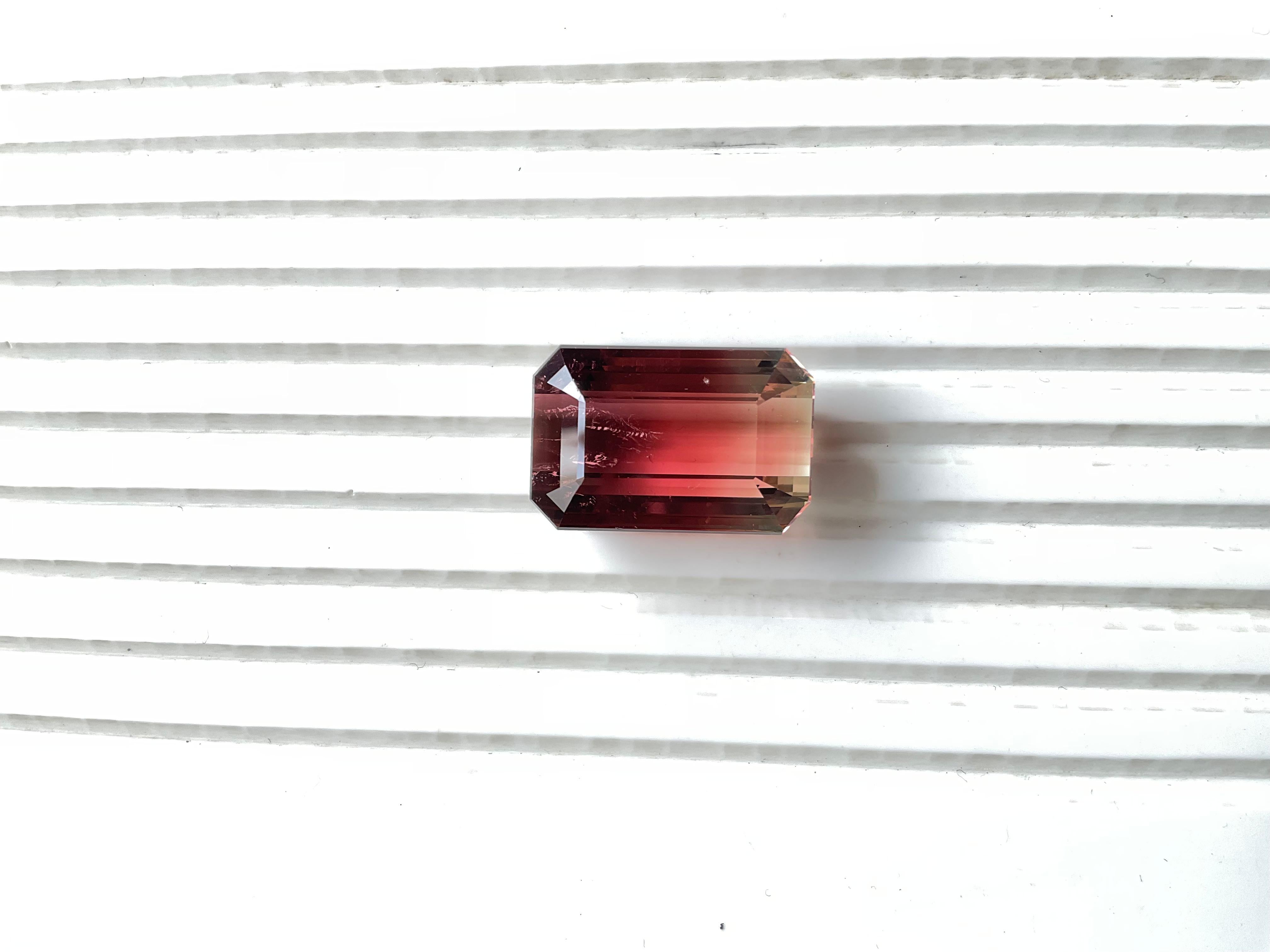 41.56 Carat Bi Color Tourmaline Octagon Faceted Cutstone For Jewelry Natural Gem

Pierre précieuse - Tourmaline
Poids - 41,56 carats
Forme - octogone
Taille -  22.17x14.6x12 MM
Pièces - 1