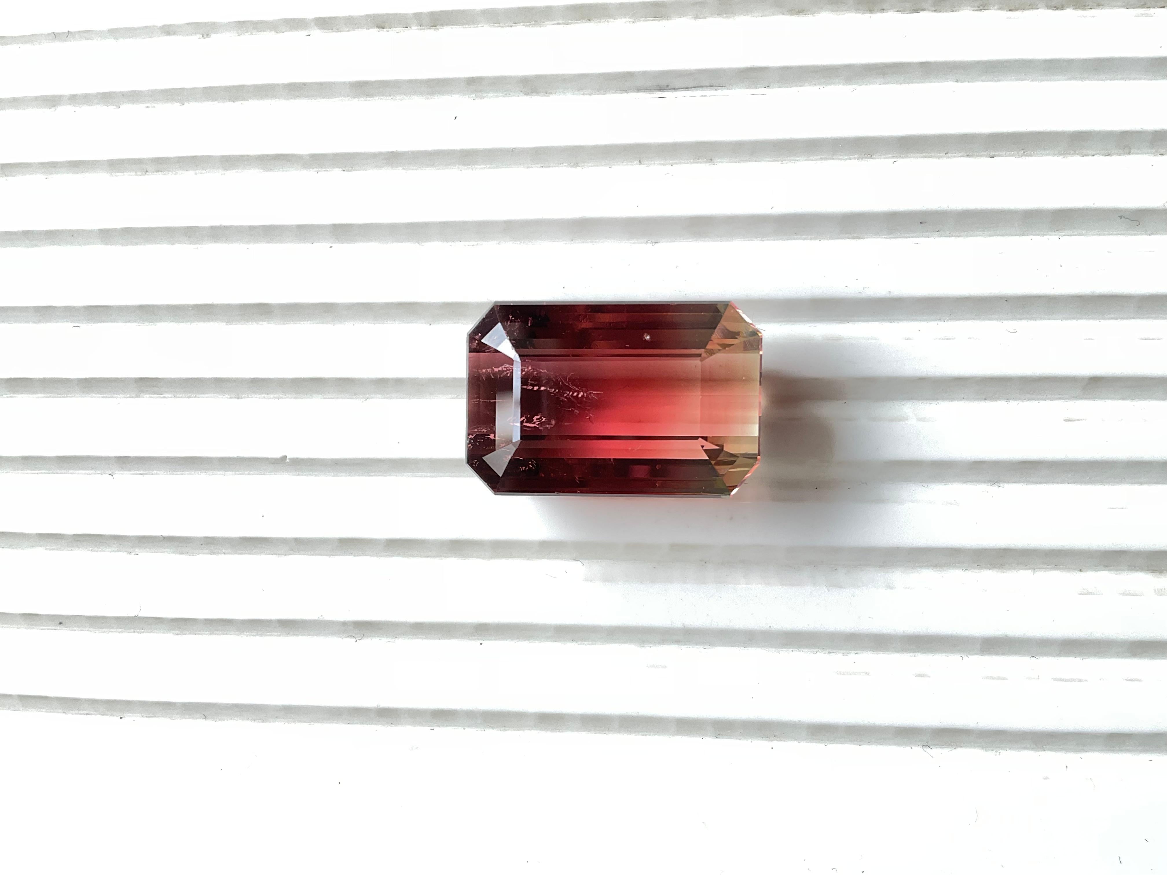 Art déco Pierre précieuse naturelle de tourmaline bicolore octogonale à facettes de 41,56 carats en vente