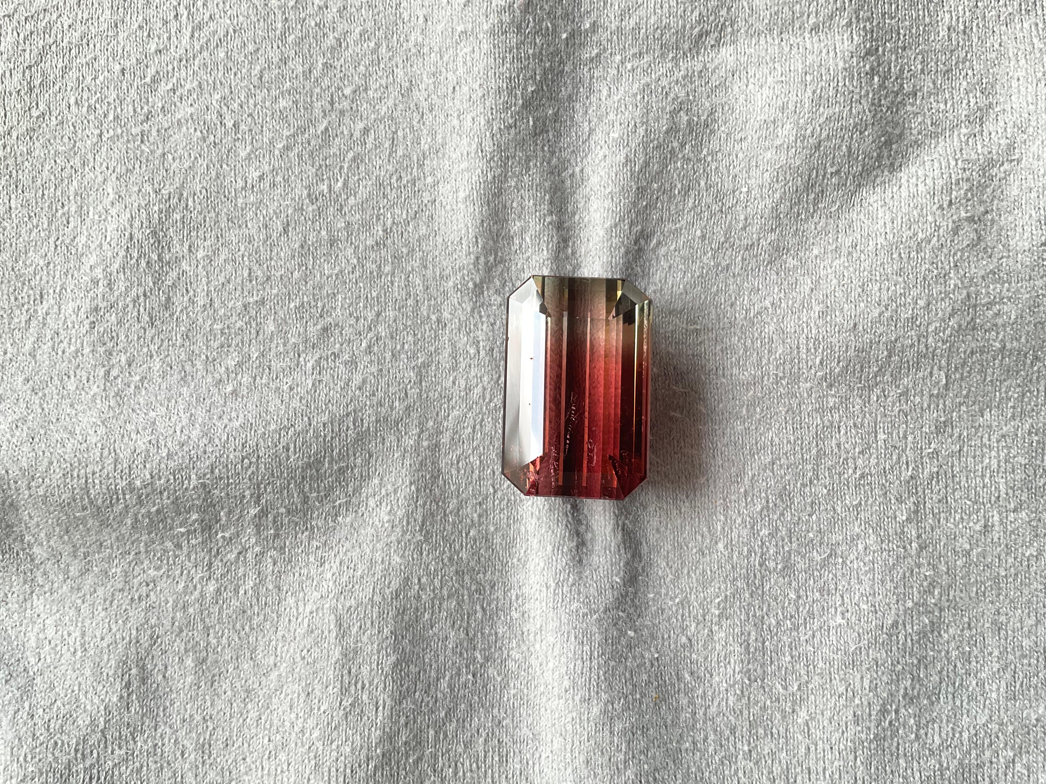 Pierre précieuse naturelle de tourmaline bicolore octogonale à facettes de 41,56 carats Bon état - En vente à Jaipur, RJ