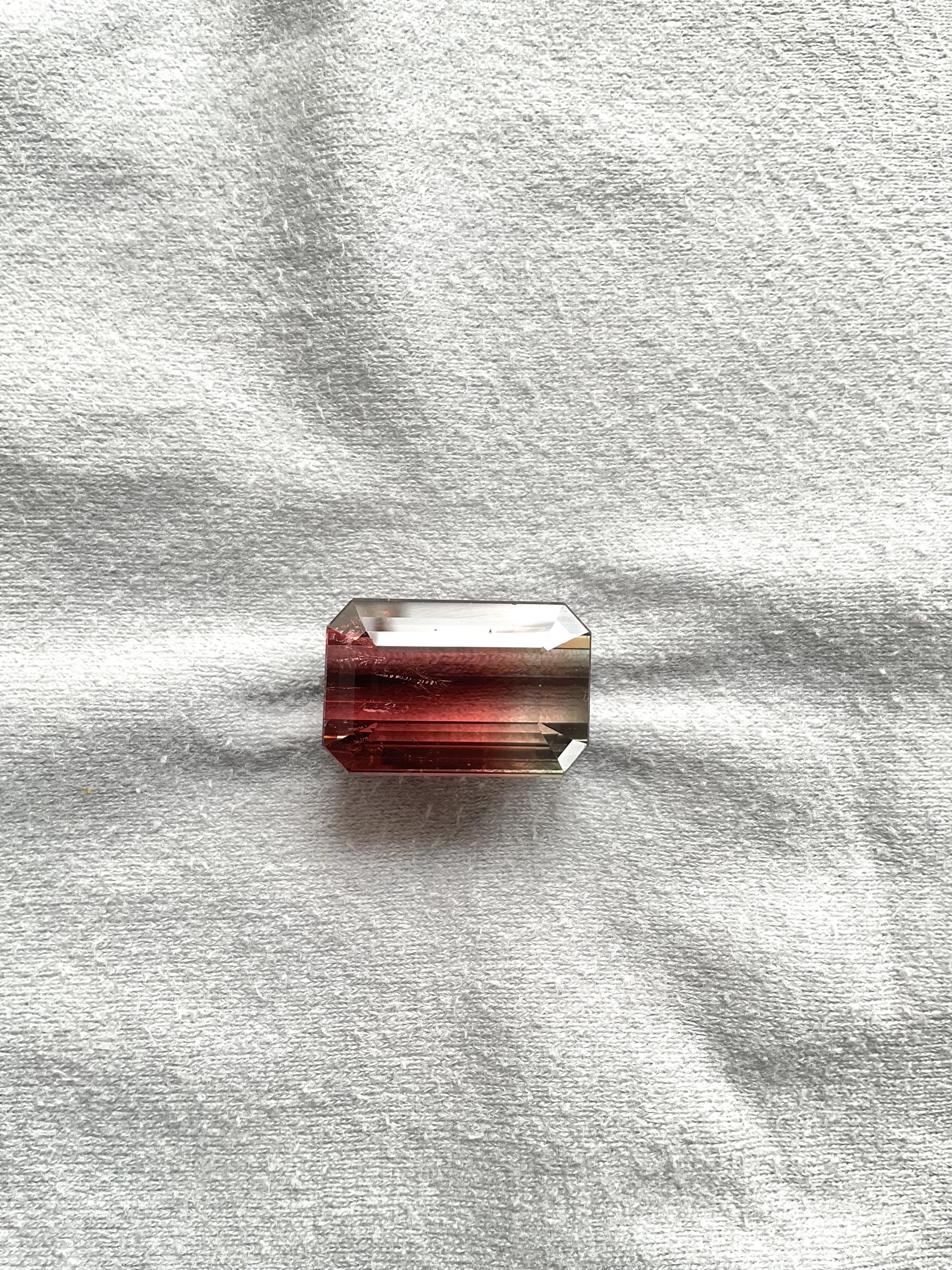 Pierre précieuse naturelle de tourmaline bicolore octogonale à facettes de 41,56 carats Unisexe en vente