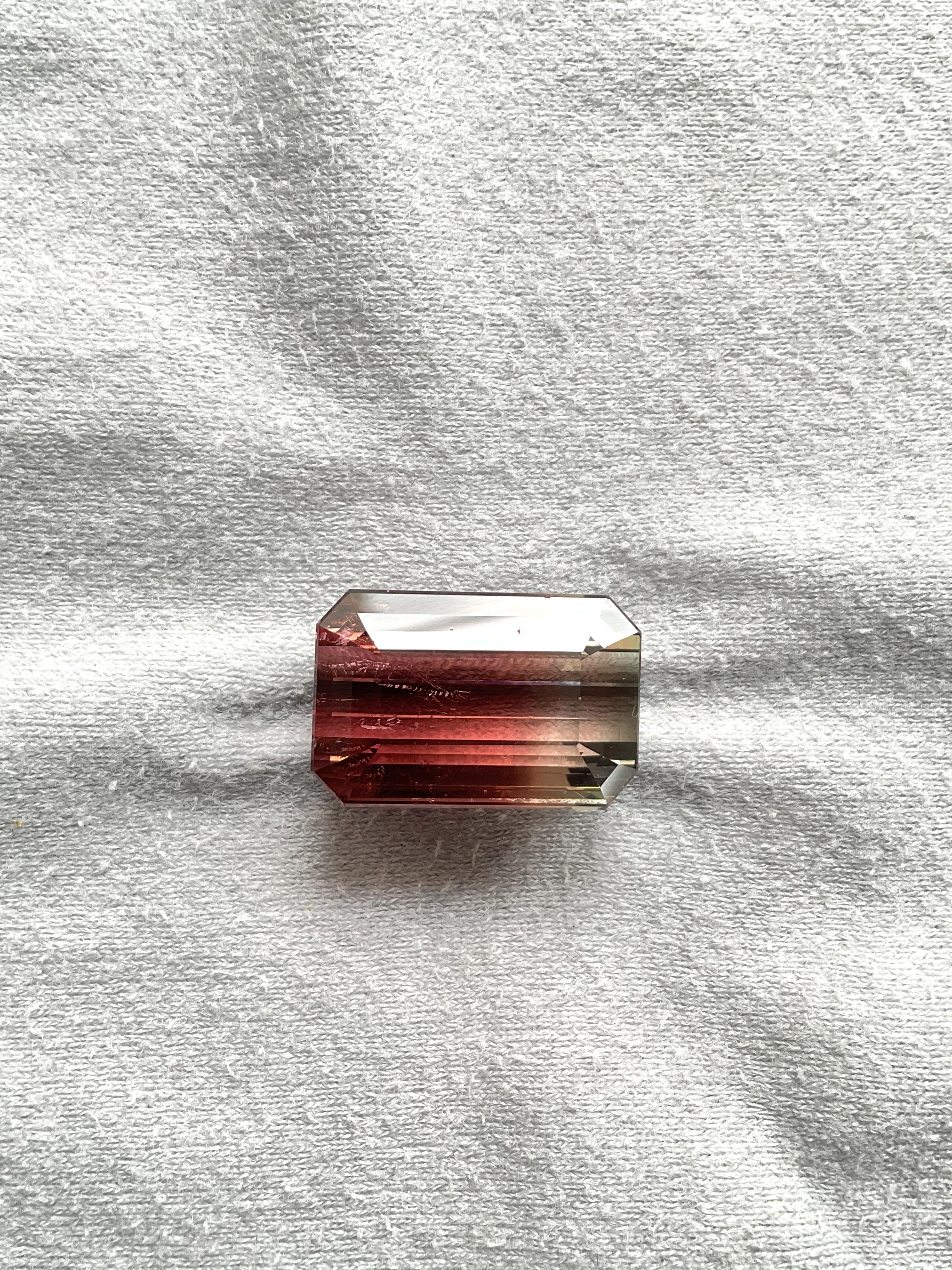Pierre précieuse naturelle de tourmaline bicolore octogonale à facettes de 41,56 carats en vente 1