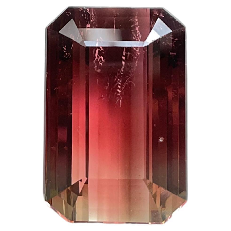 Pierre précieuse naturelle de tourmaline bicolore octogonale à facettes de 41,56 carats