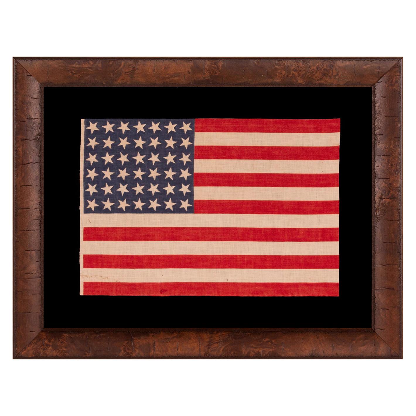 42 Stars, an Unofficial Star Count on an Antique American Flag, Scattered Stars